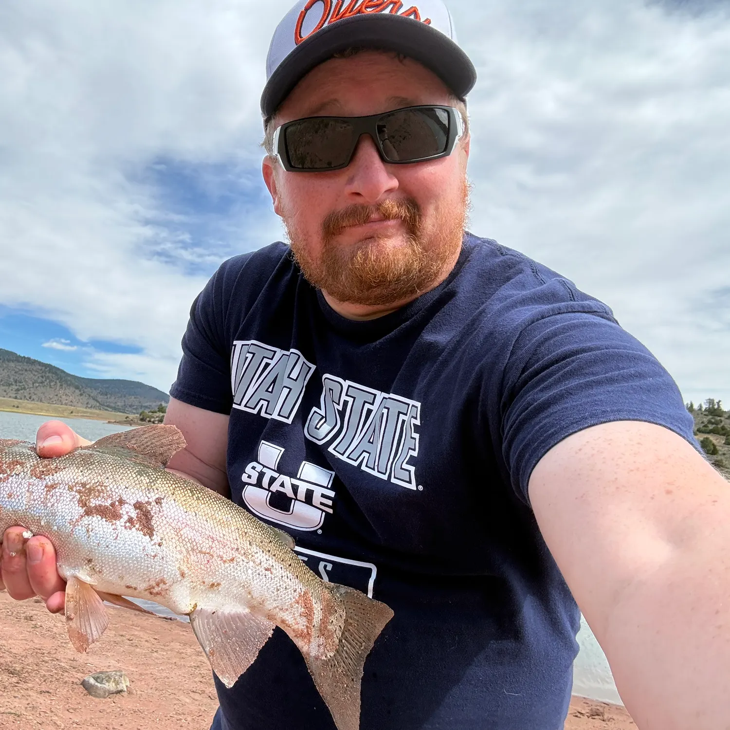 Rainbow trout caught on Fishbrain