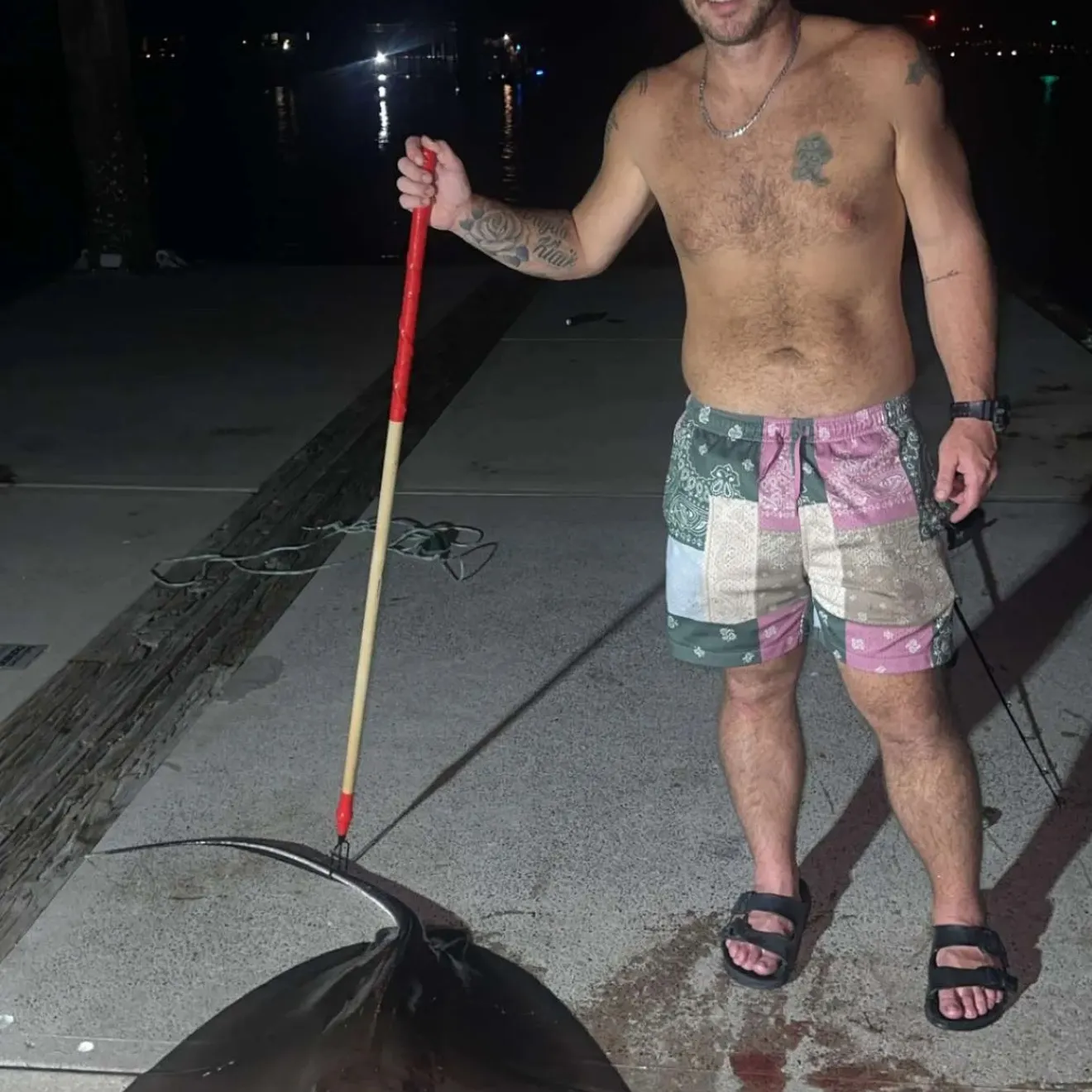 Southern stingray caught on Fishbrain