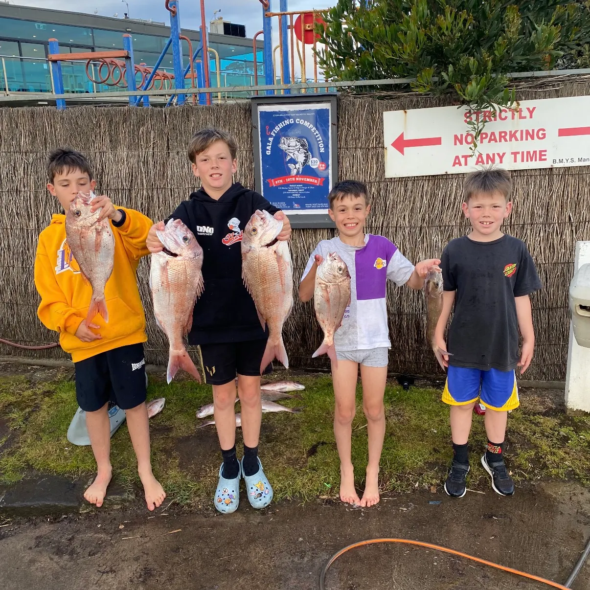 recently logged catches