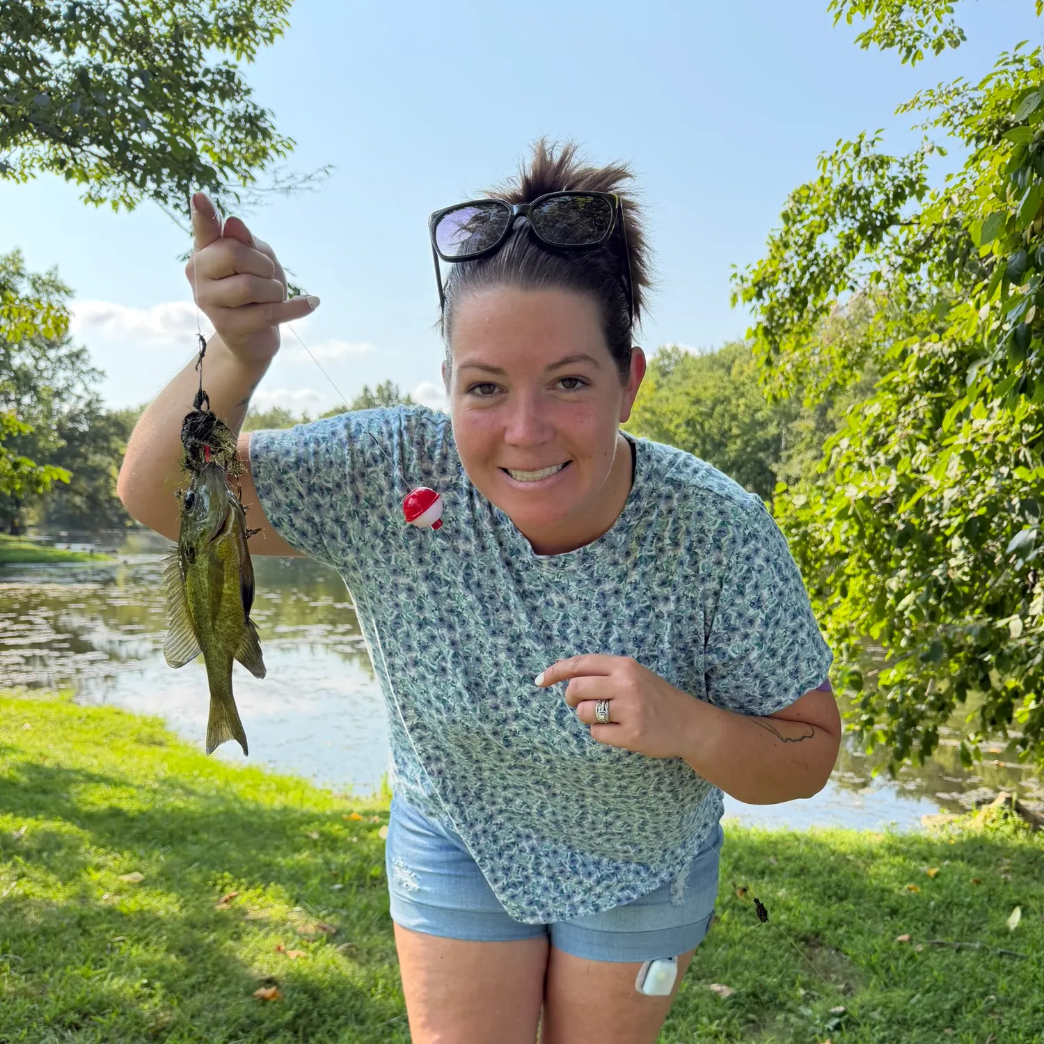 The most recent Wargill hybrid catches on Fishbrain