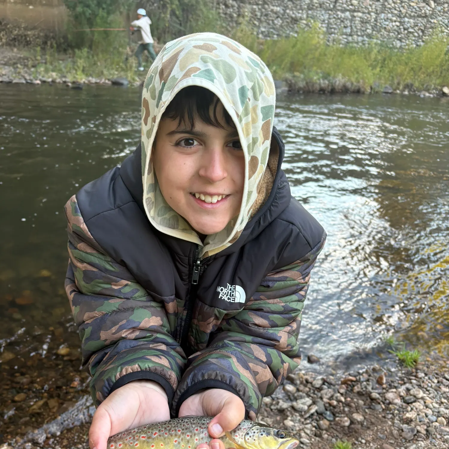 Brown trout caught on Fishbrain
