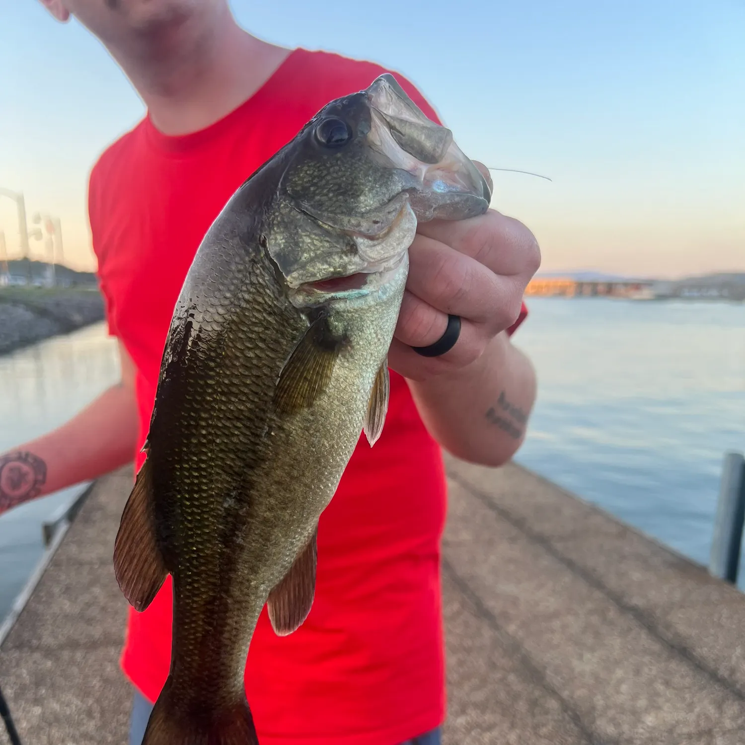 angler catch