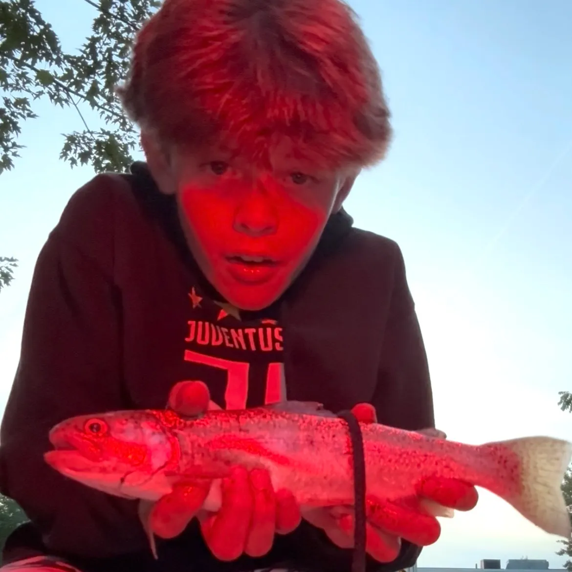 Rainbow trout caught on Fishbrain