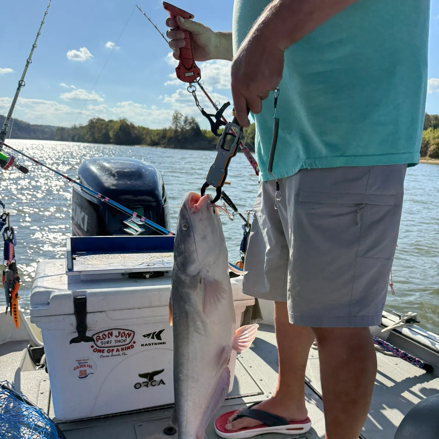 Blue catfish caught on Fishbrain