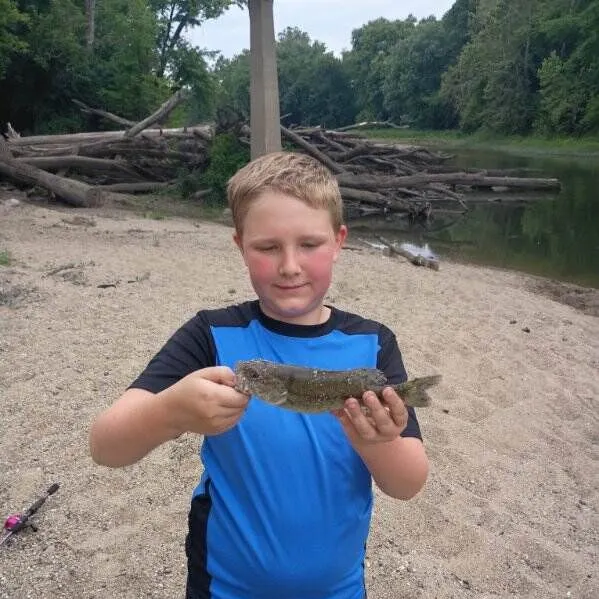 Smallmouth bass caught on Fishbrain