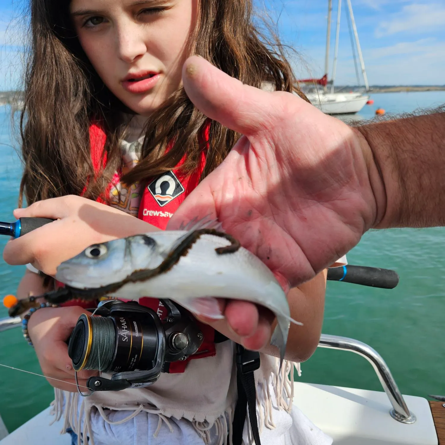 European seabass caught on Fishbrain
