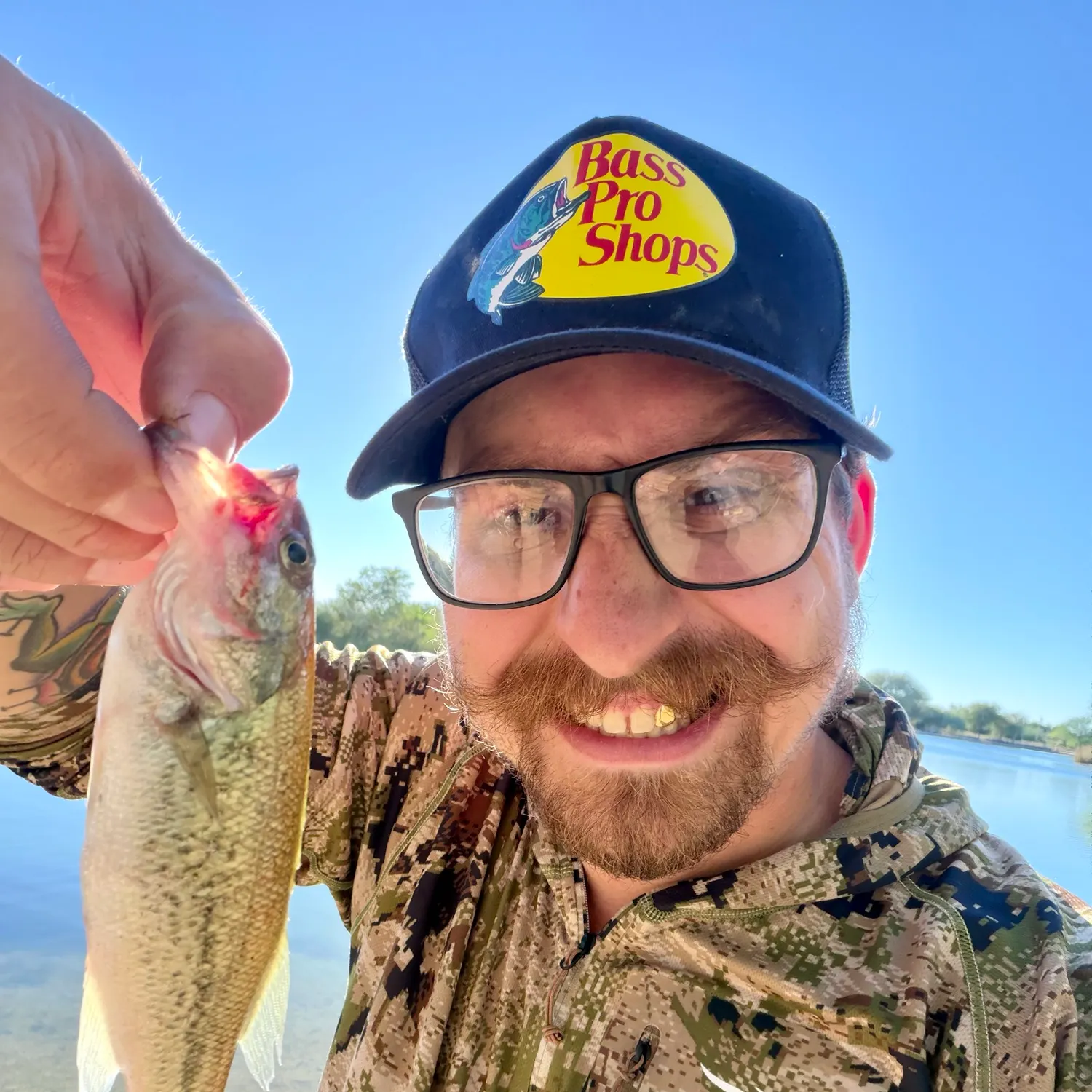 Largemouth bass caught on Fishbrain