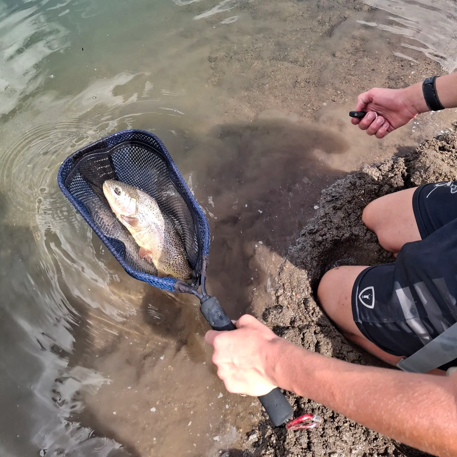 The most recent Yellowstone cutthroat trout catches on Fishbrain