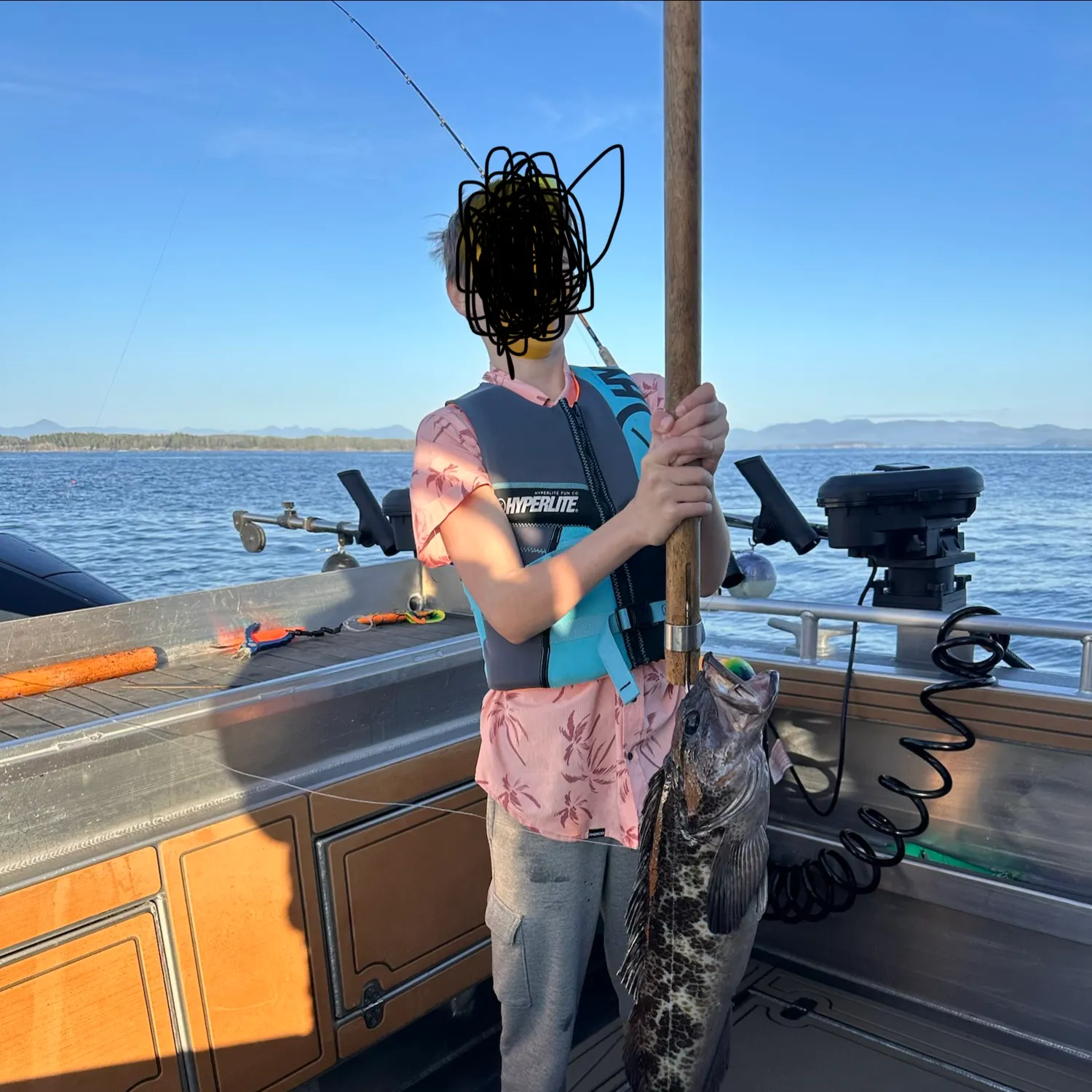 Lingcod caught on Fishbrain