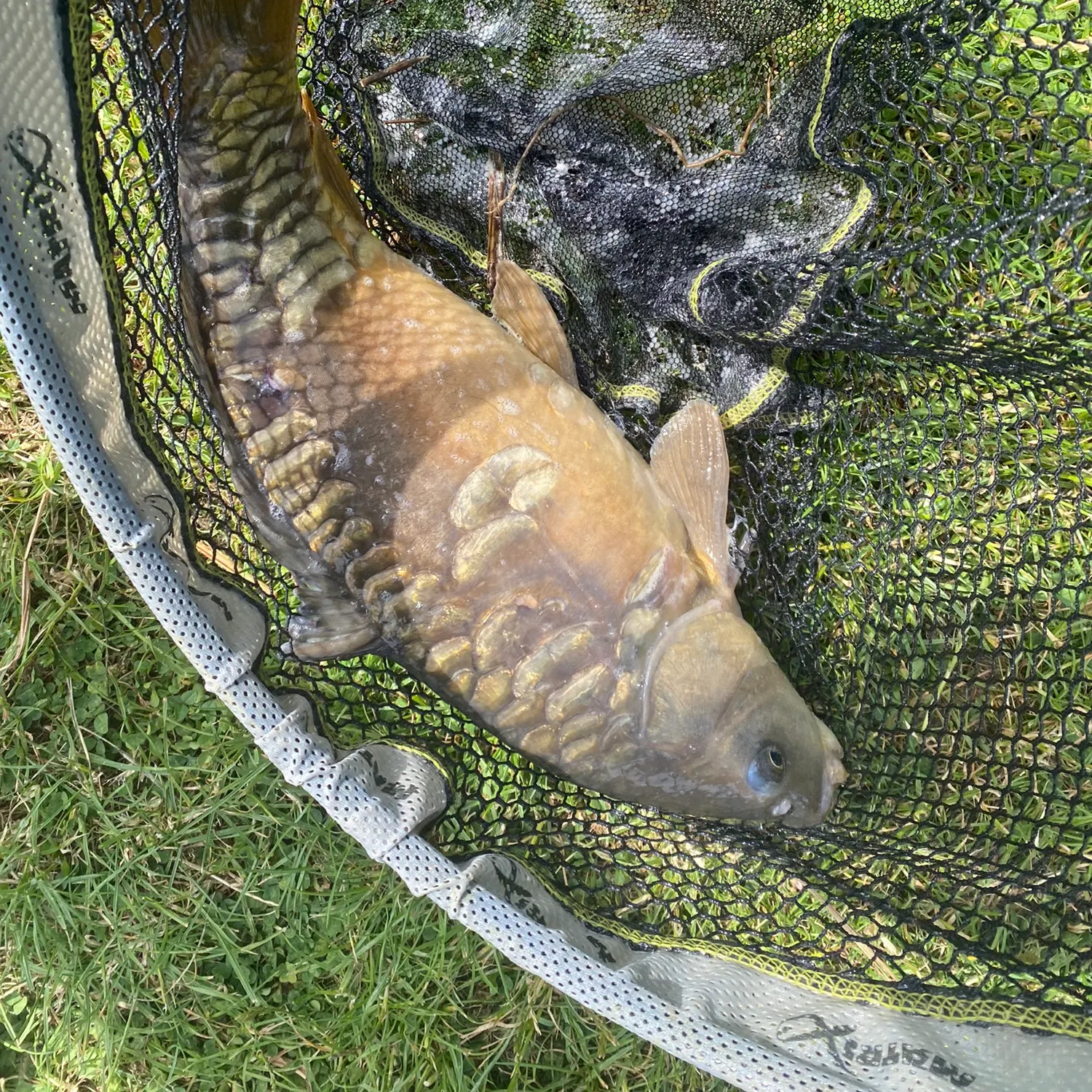 angler catch