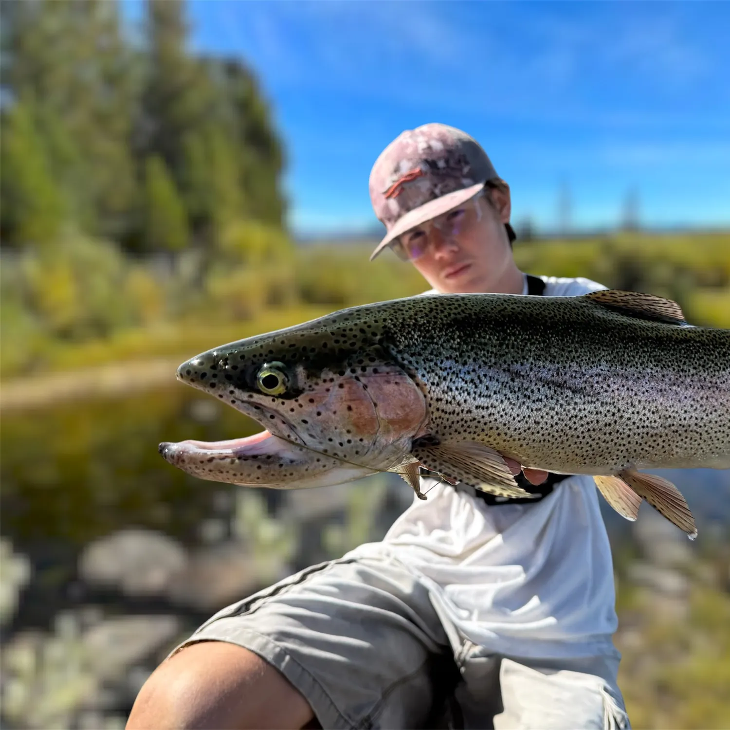 Rainbow trout caught on Fishbrain