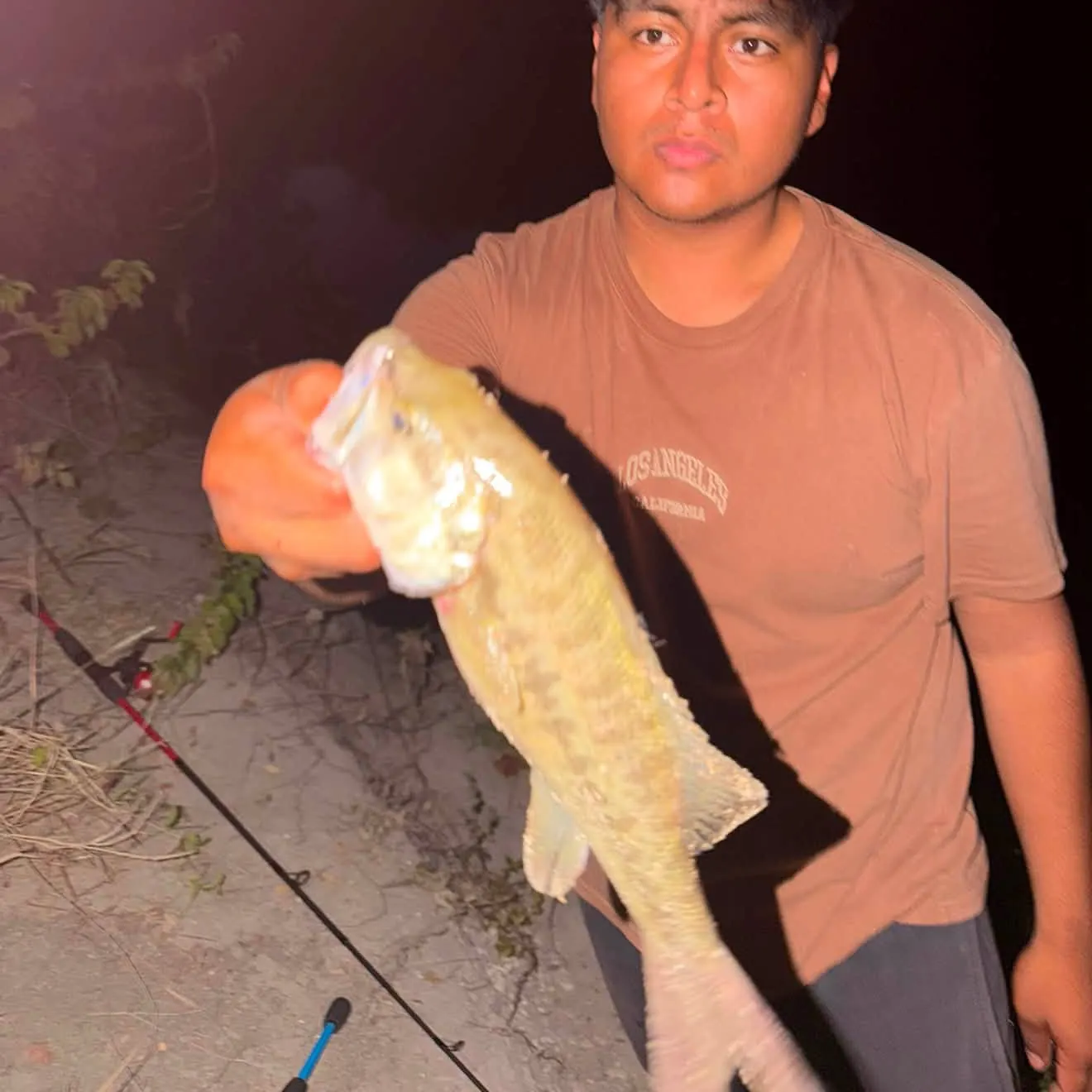 Smallmouth bass caught on Fishbrain