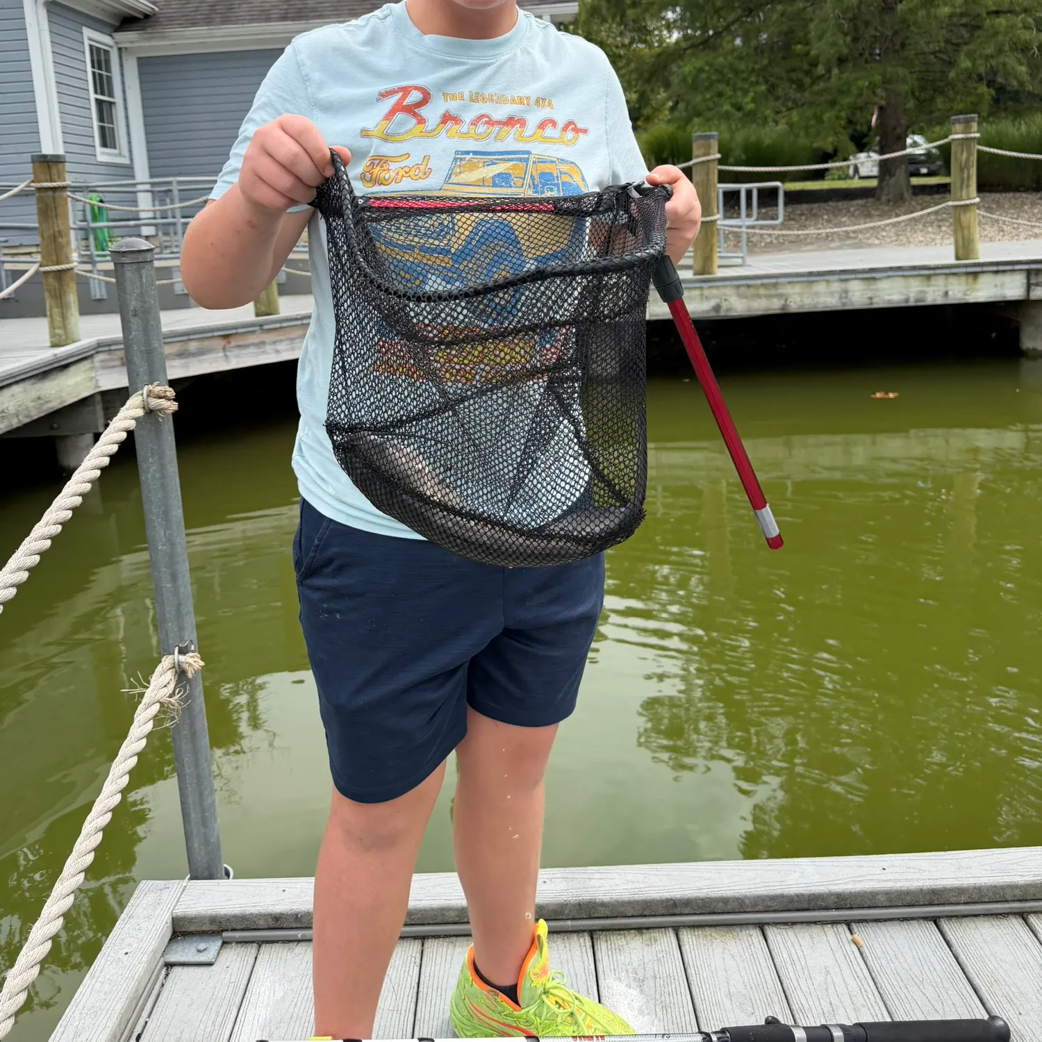Blue catfish caught on Fishbrain