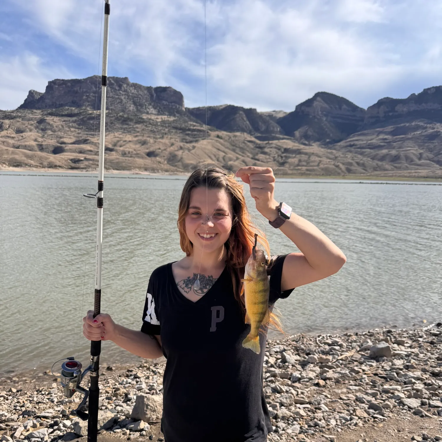 Yellow perch caught on Fishbrain