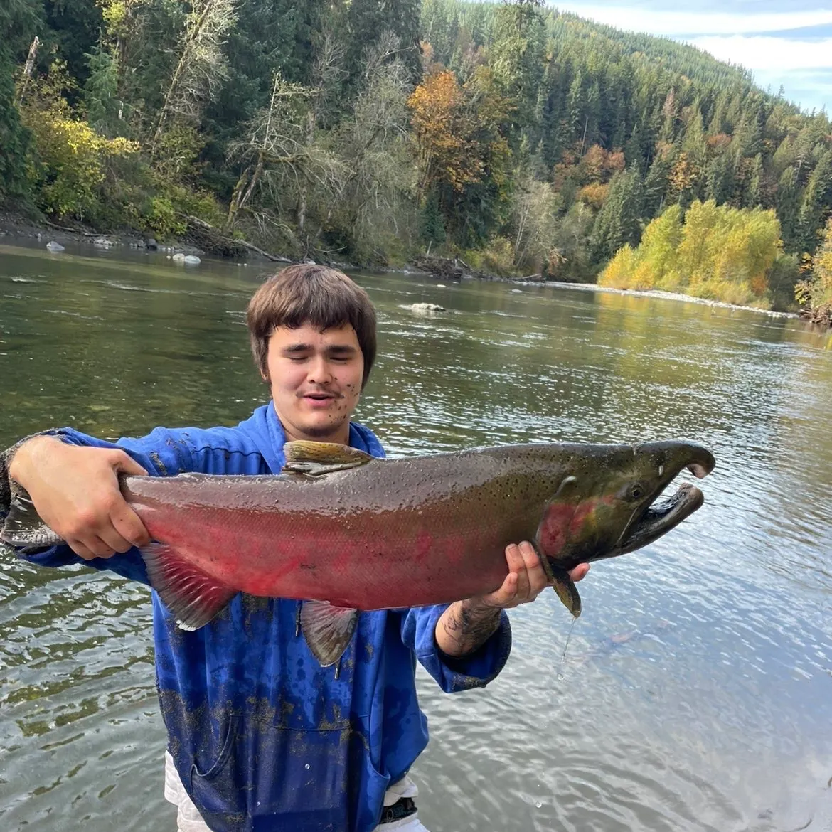 Coho salmon caught on Fishbrain