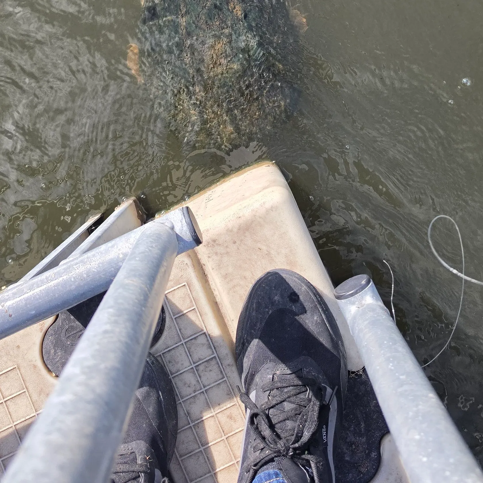 The most recent Common snapping turtle catches on Fishbrain
