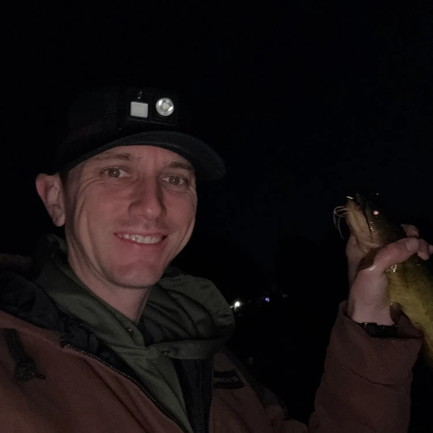 Yellow bullhead caught on Fishbrain