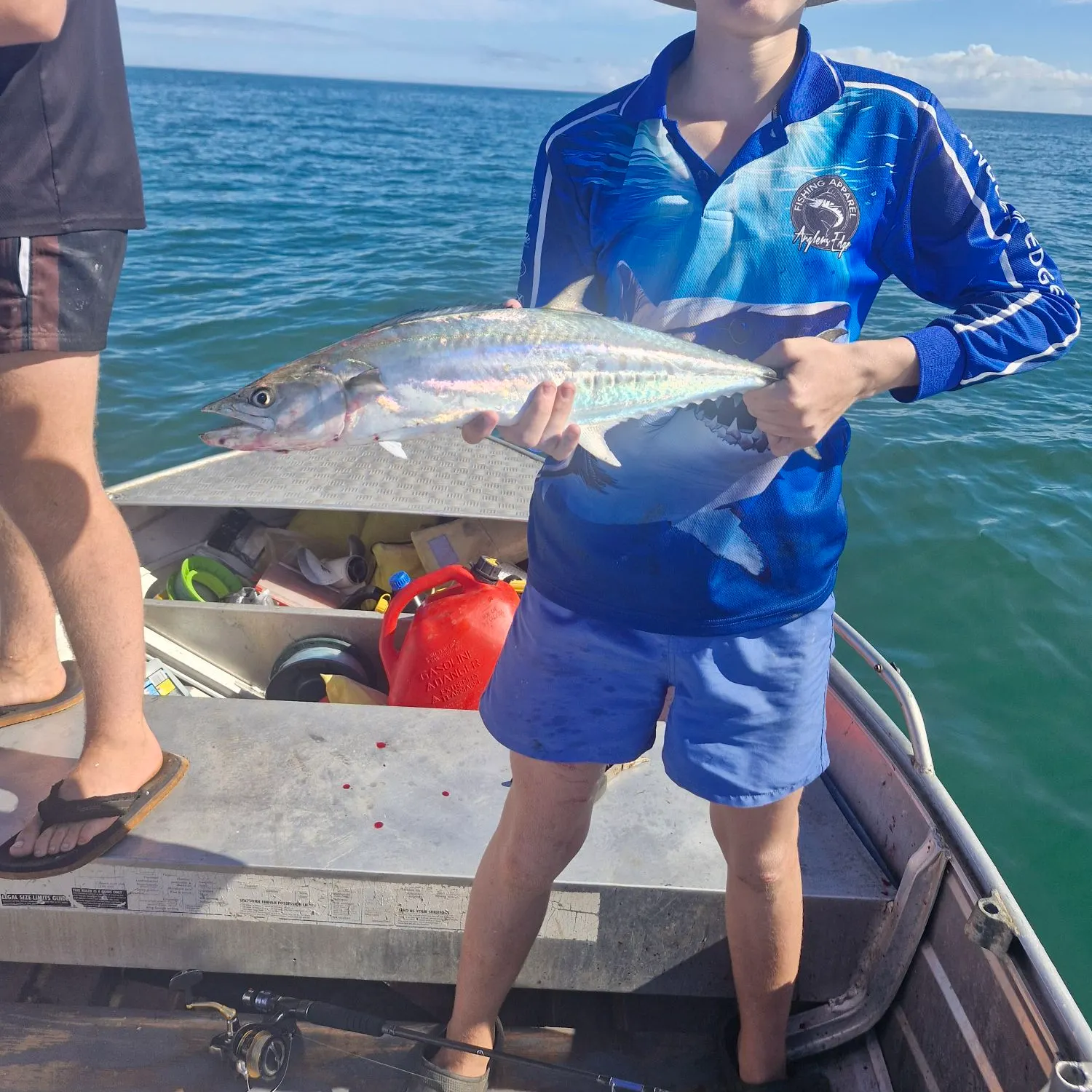 The most recent Narrow-barred Spanish mackerel catches on Fishbrain