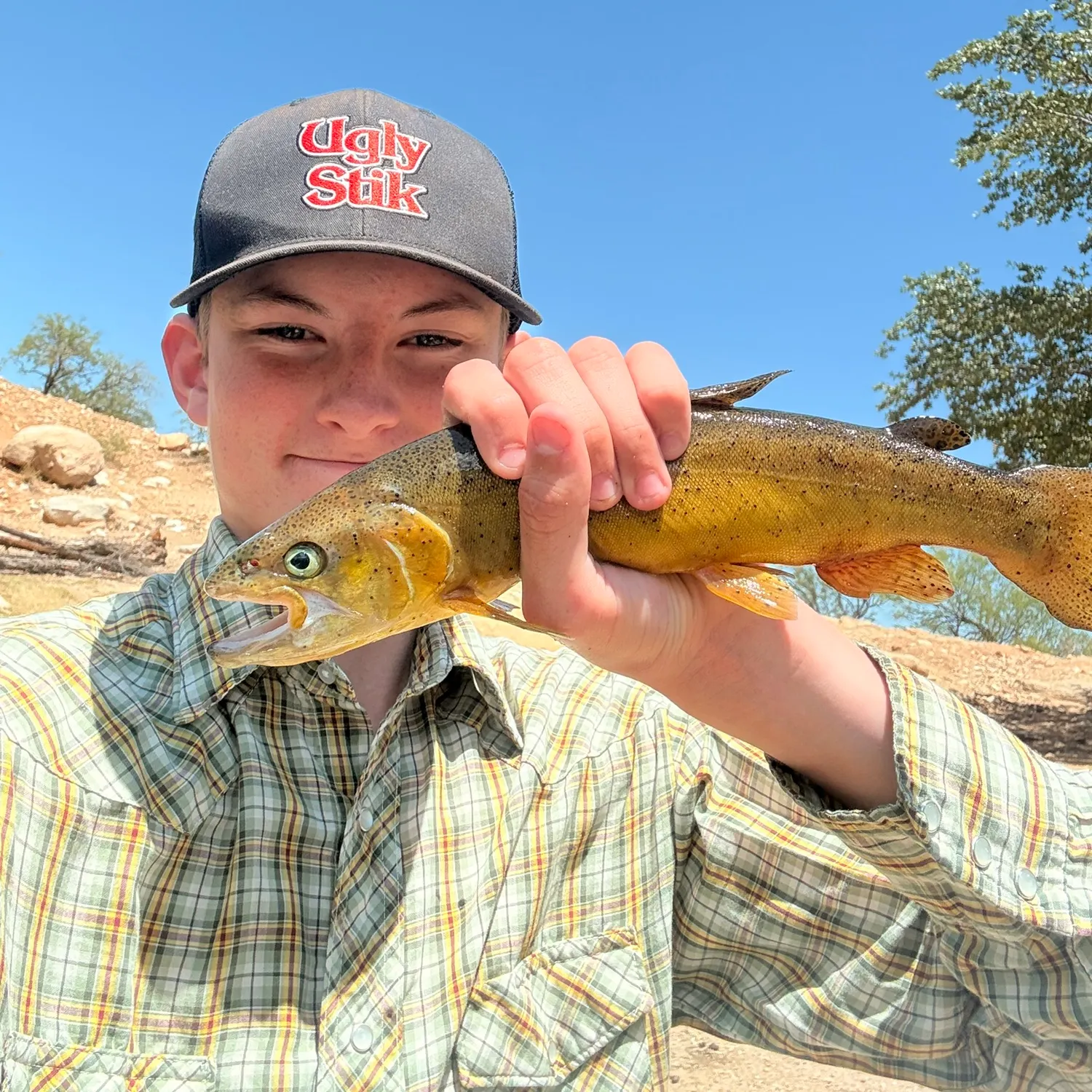 The most recent Gila trout catches on Fishbrain