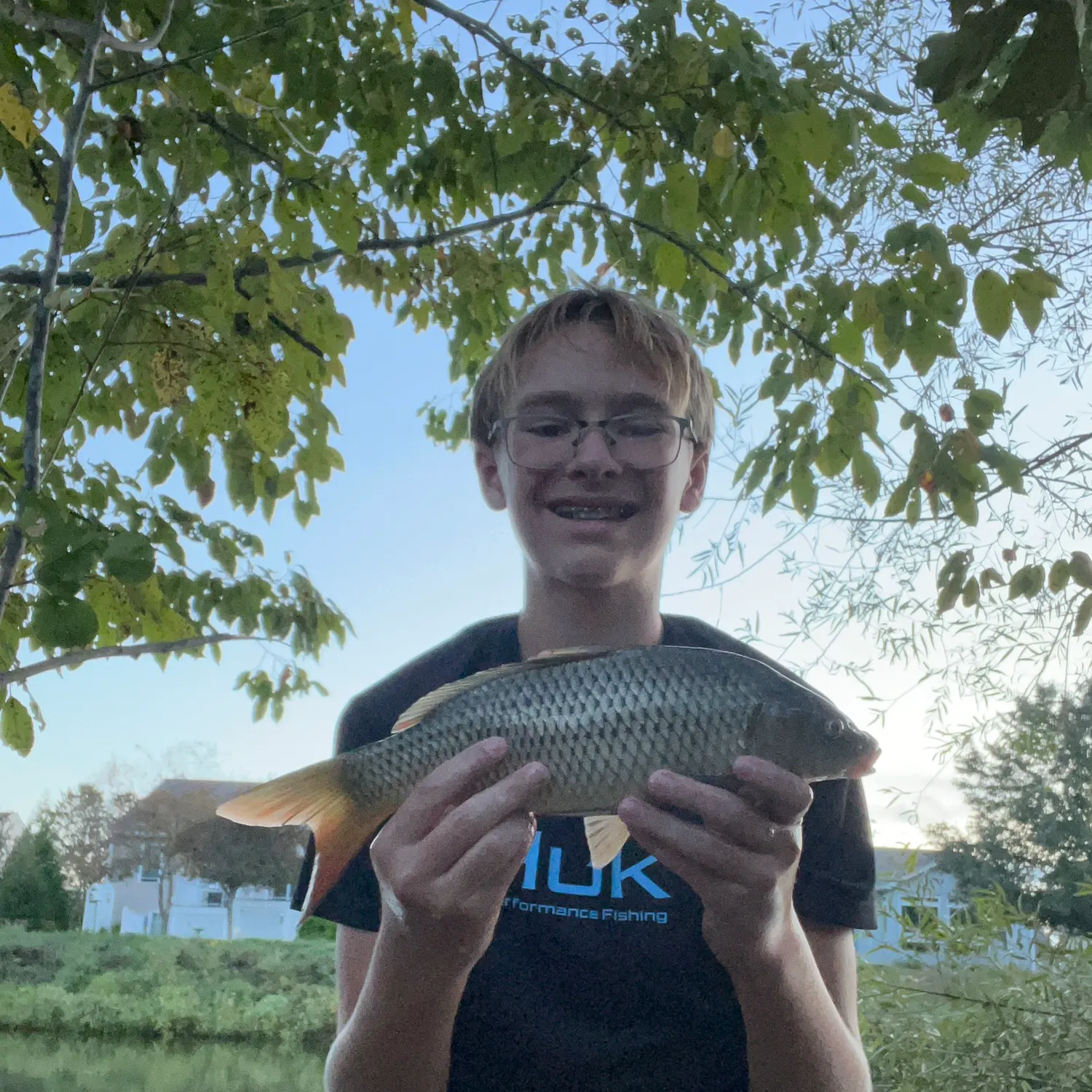 Common carp caught on Fishbrain
