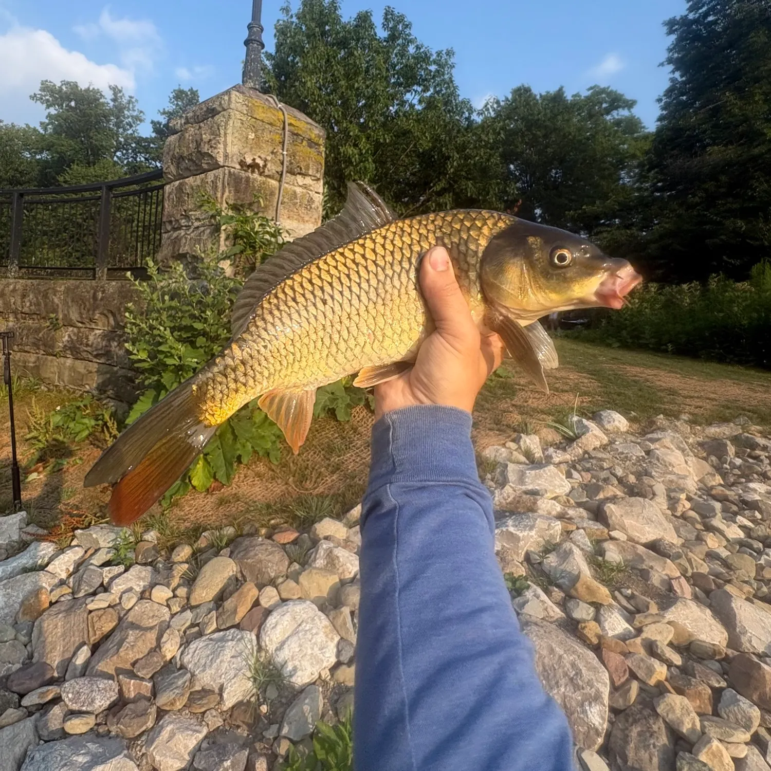 catch