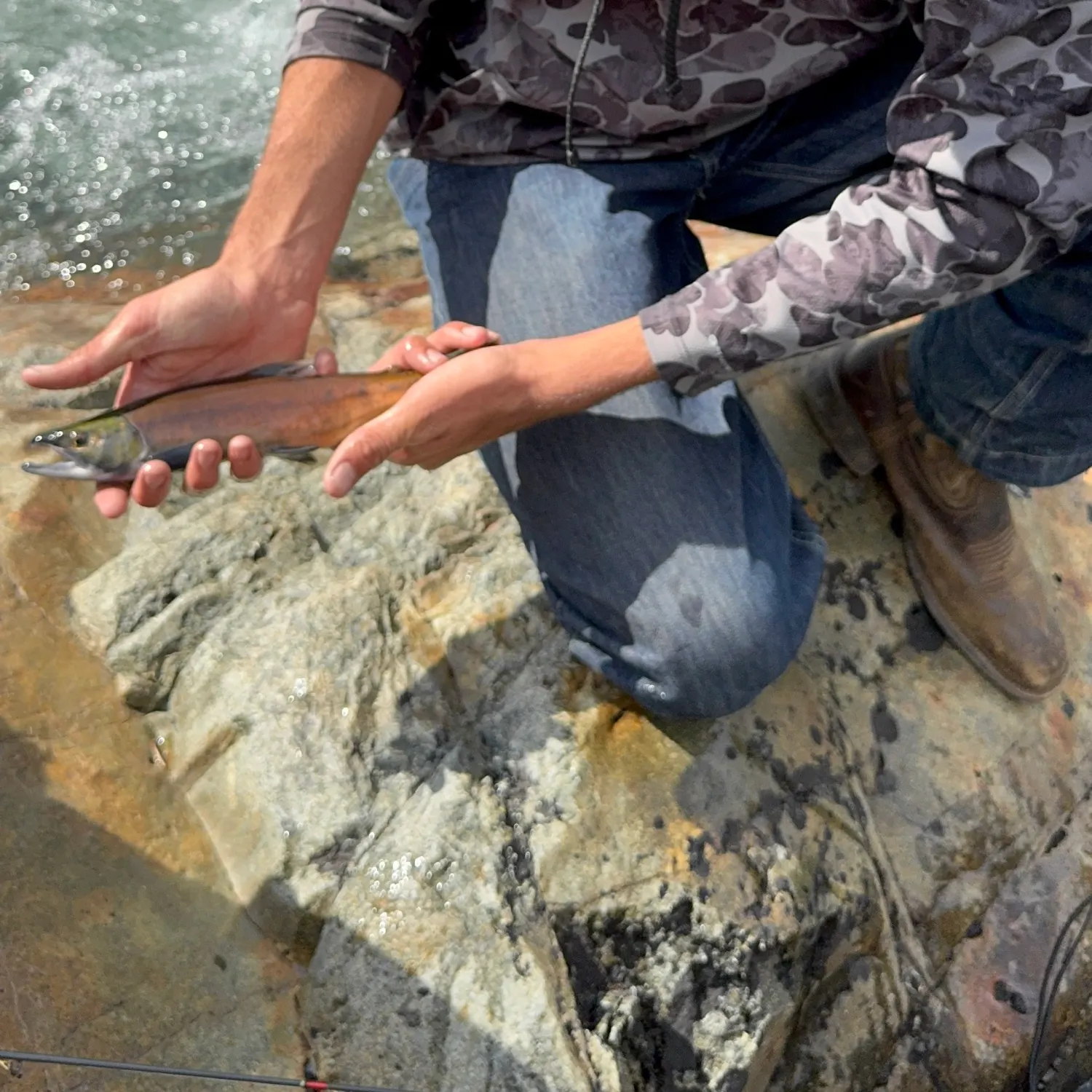 Kokanee salmon caught on Fishbrain
