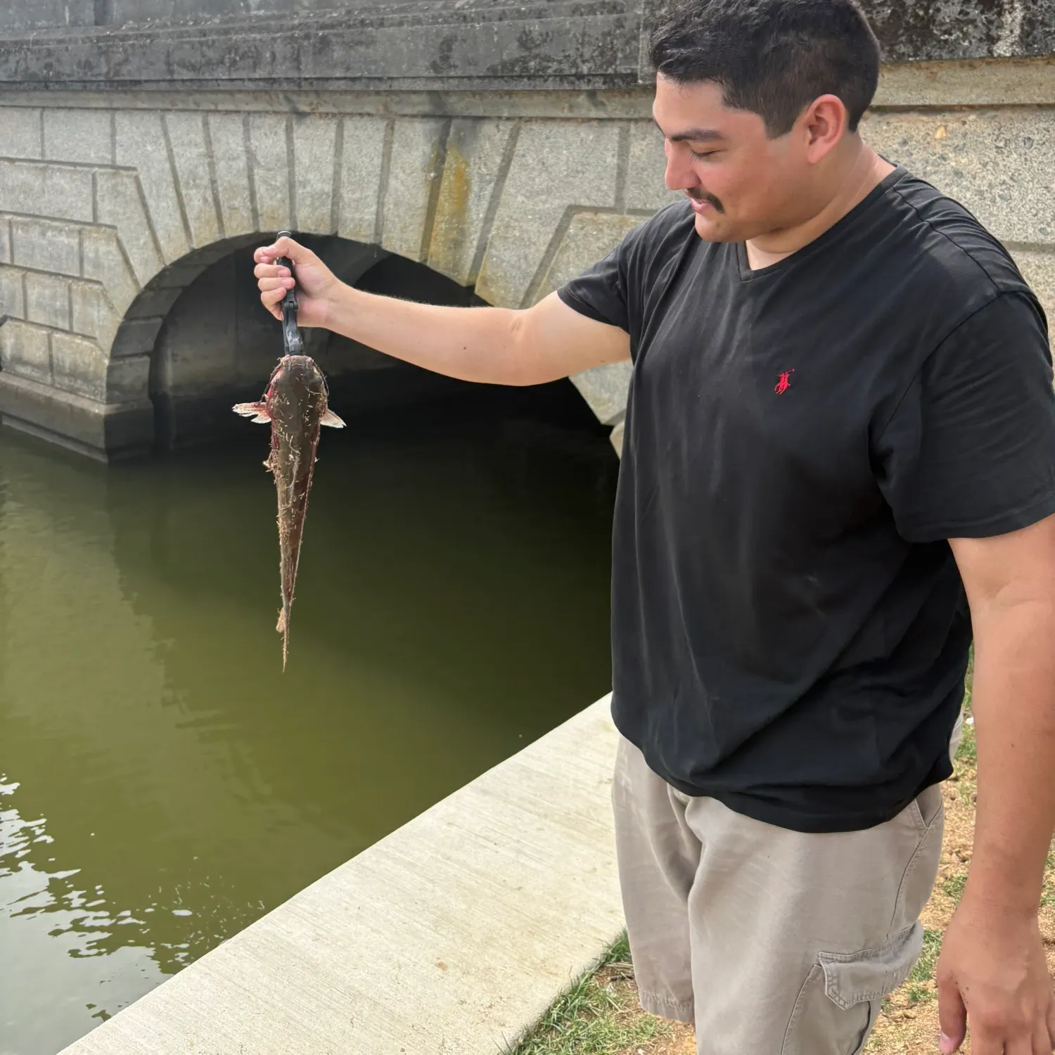 Channel catfish caught on Fishbrain
