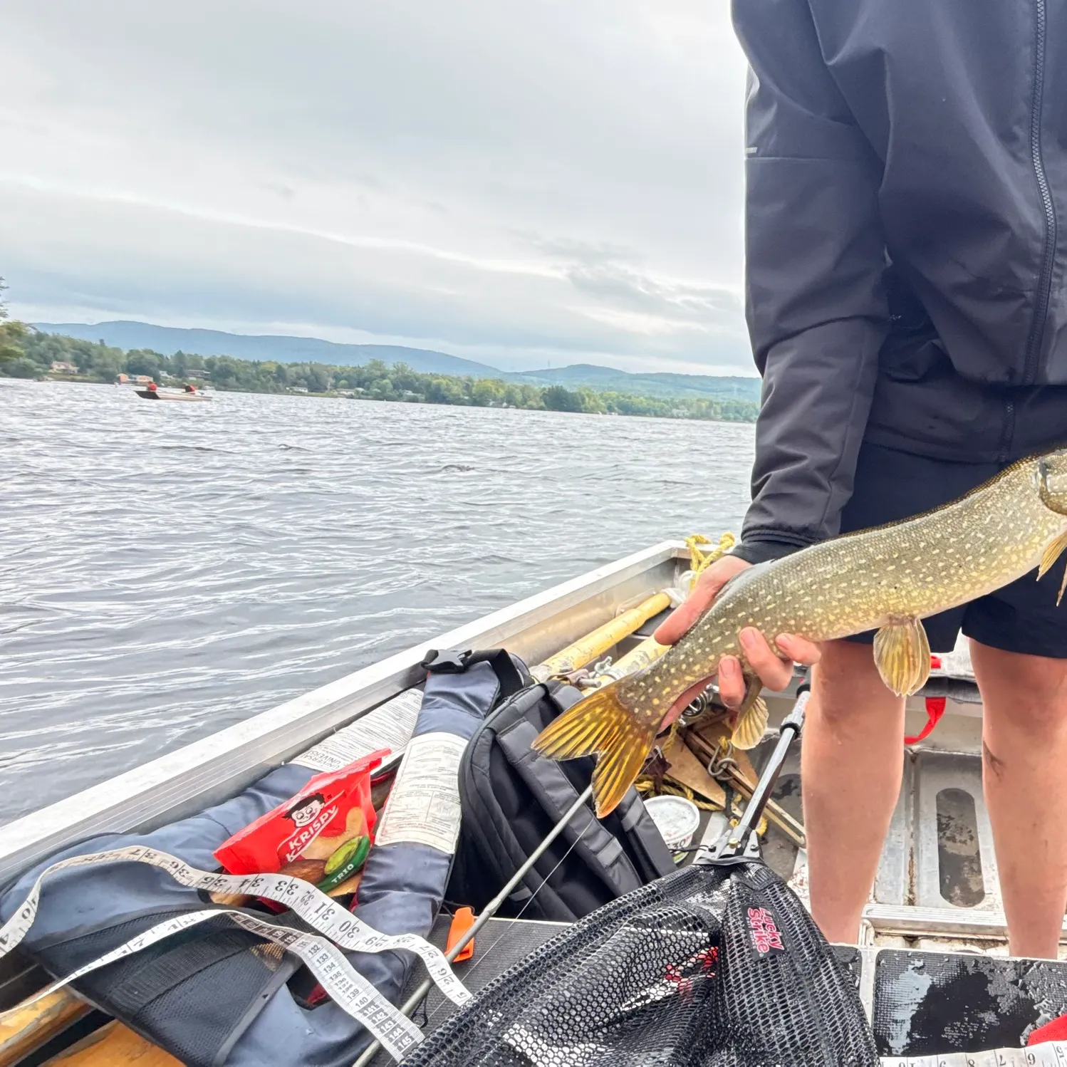 Northern pike caught on Fishbrain