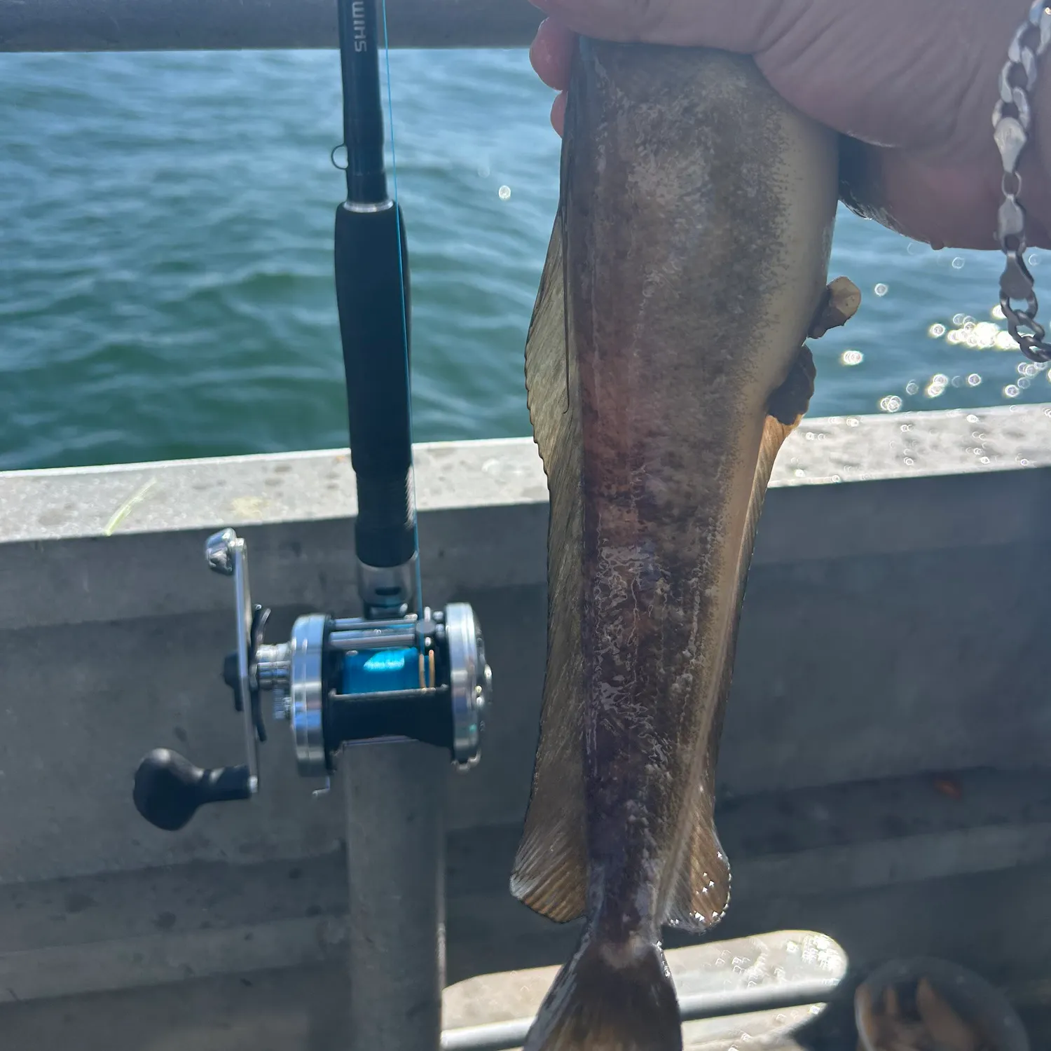 most liked catch image