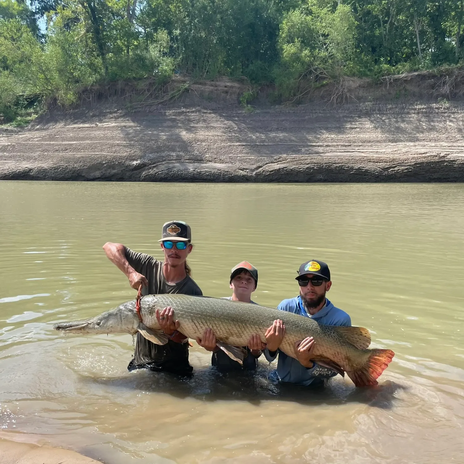 The most recent Alligator gar catches on Fishbrain