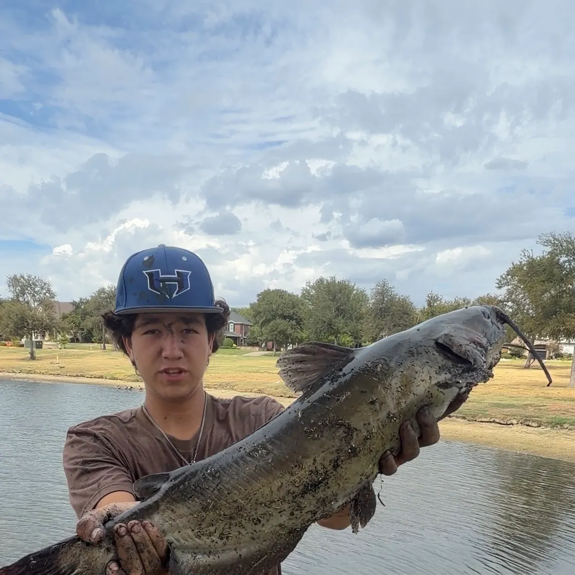 Channel catfish caught on Fishbrain
