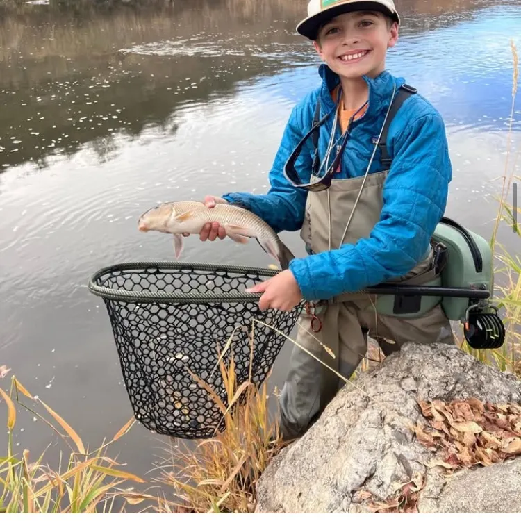 The most recent White sucker catches on Fishbrain