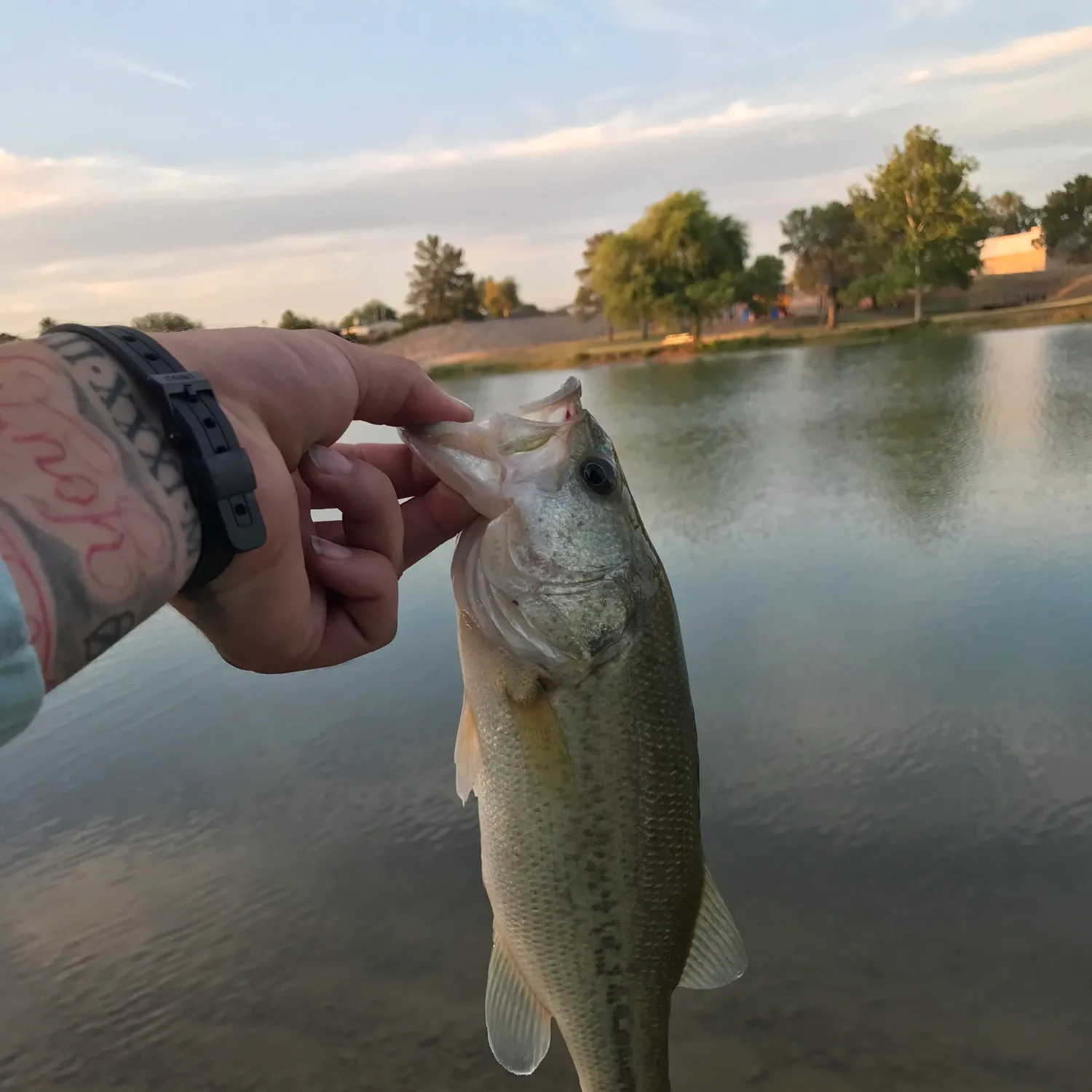 catch