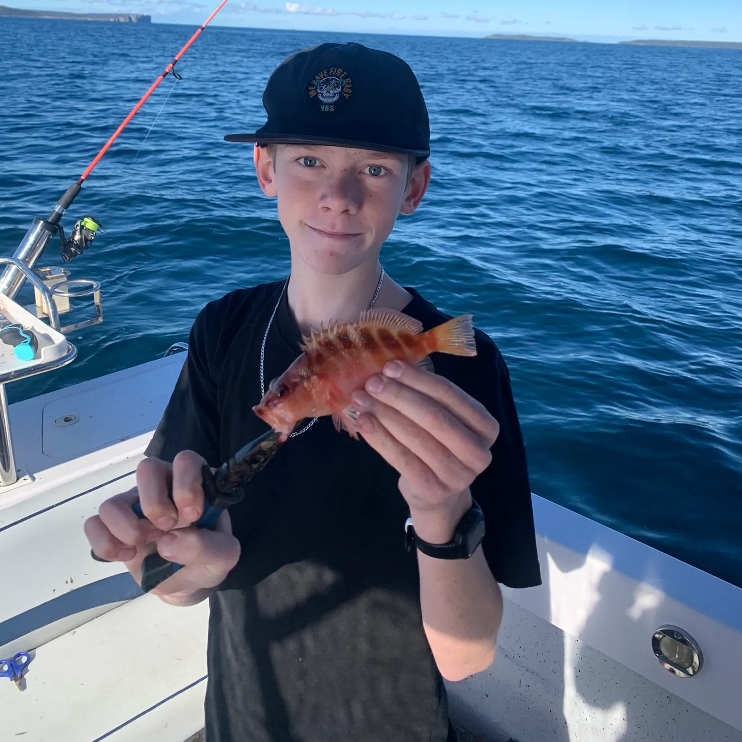 The most recent Sixblotch hind catches on Fishbrain