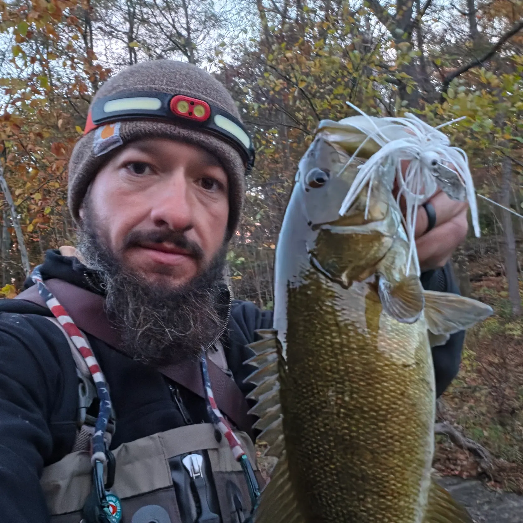 Smallmouth bass caught on Fishbrain