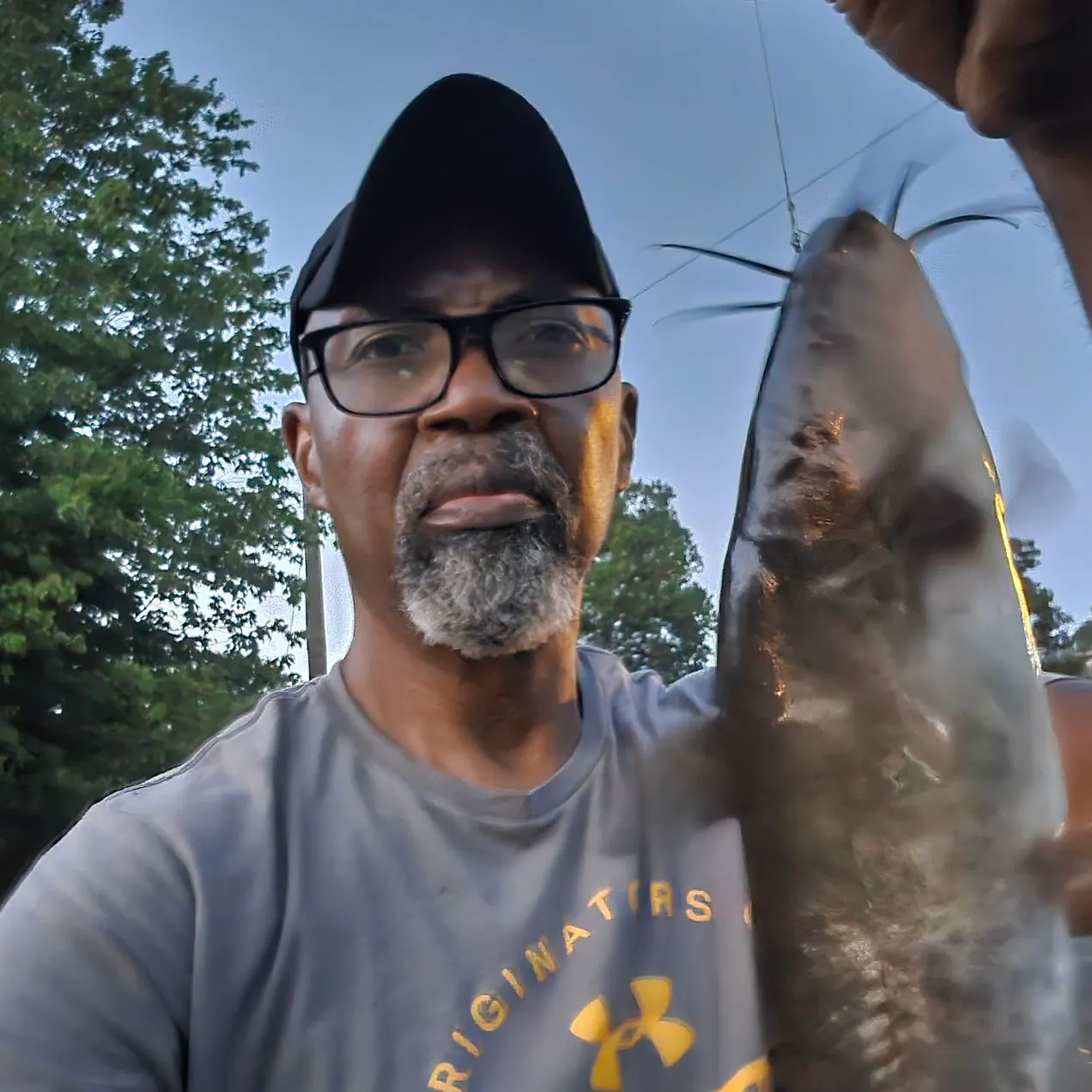 Black bullhead caught on Fishbrain