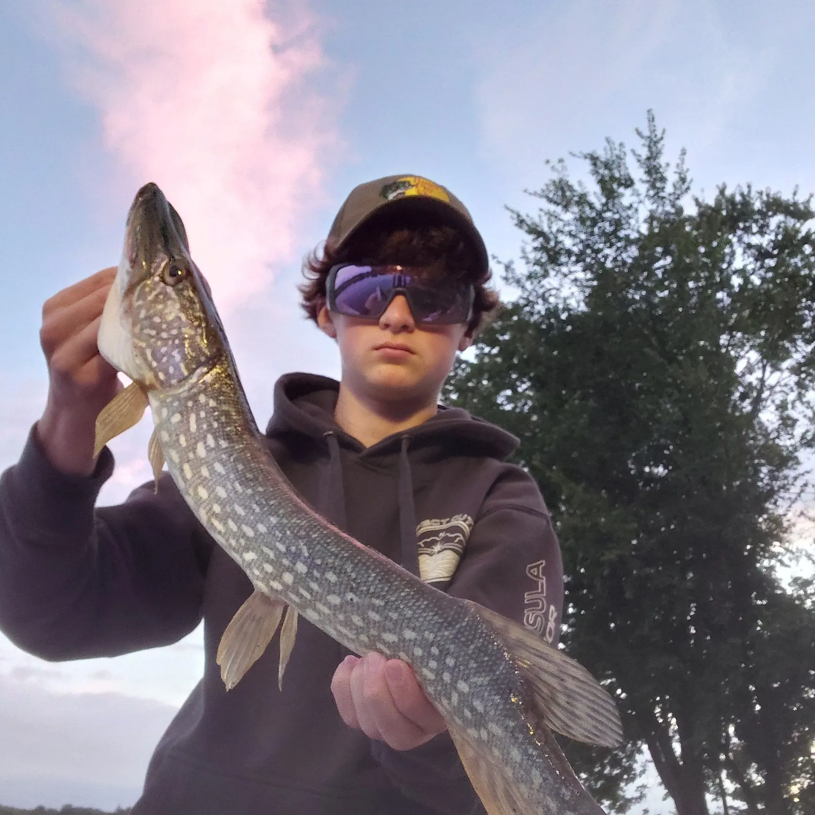 Northern pike caught on Fishbrain