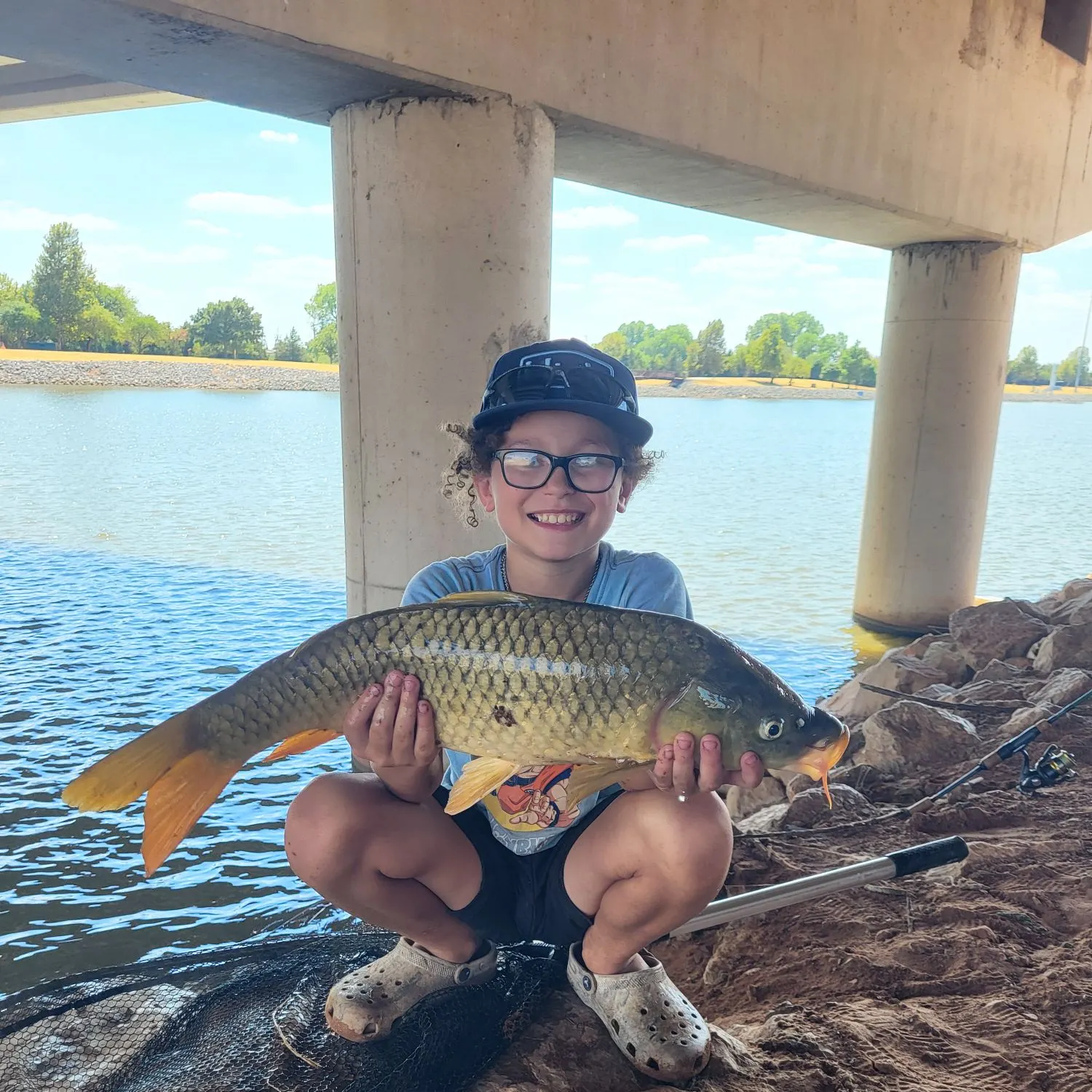 Common carp caught on Fishbrain