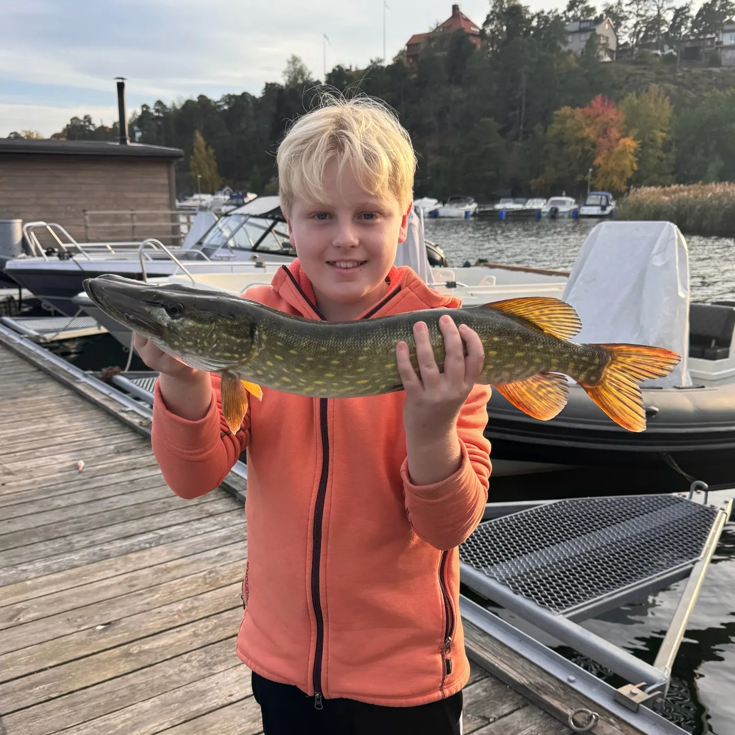 Northern pike caught on Fishbrain