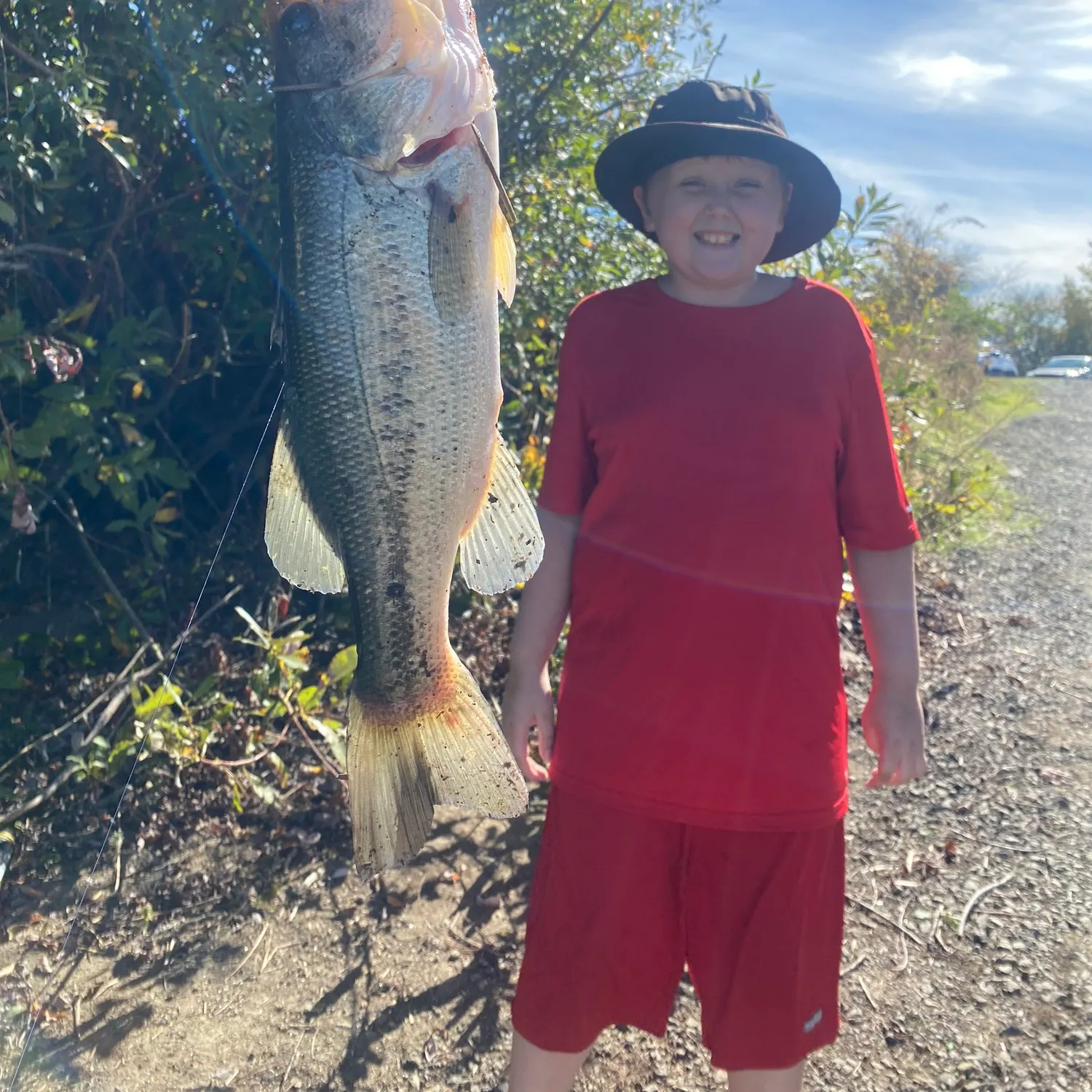 Largemouth bass caught on Fishbrain