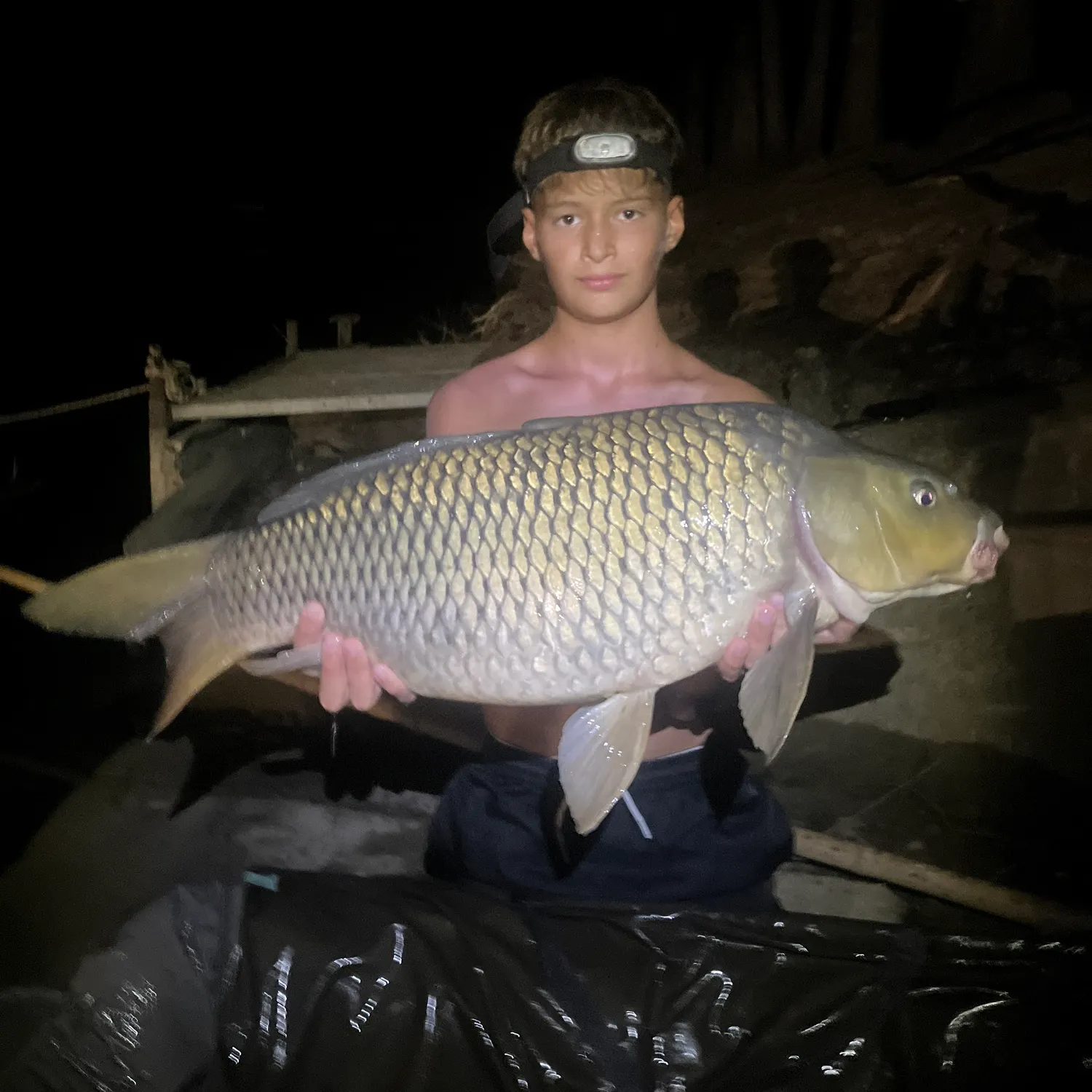 Common carp caught on Fishbrain