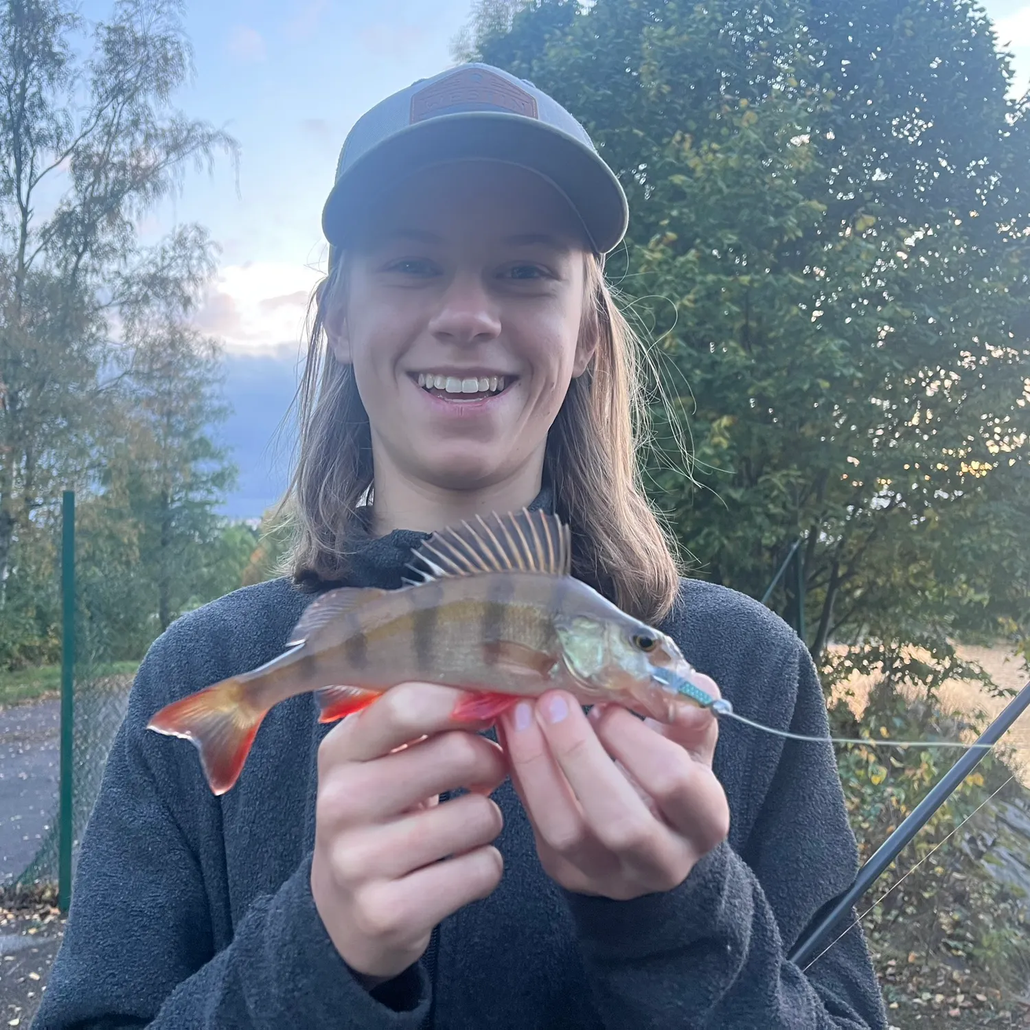 European perch caught on Fishbrain