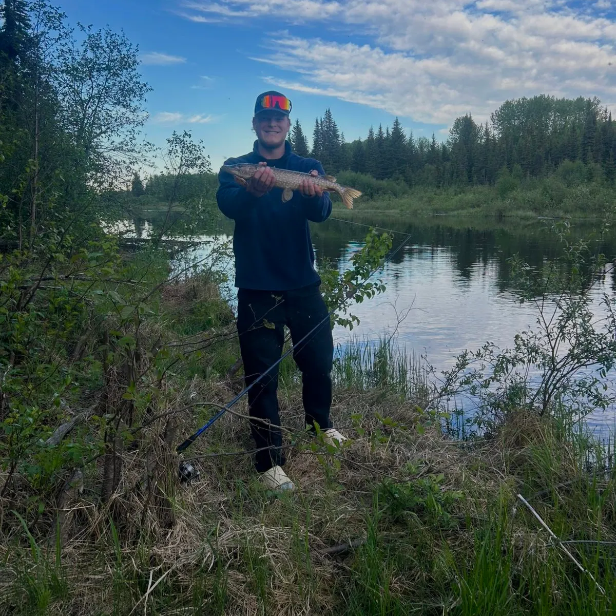 The most recent Northern pike catches on Fishbrain