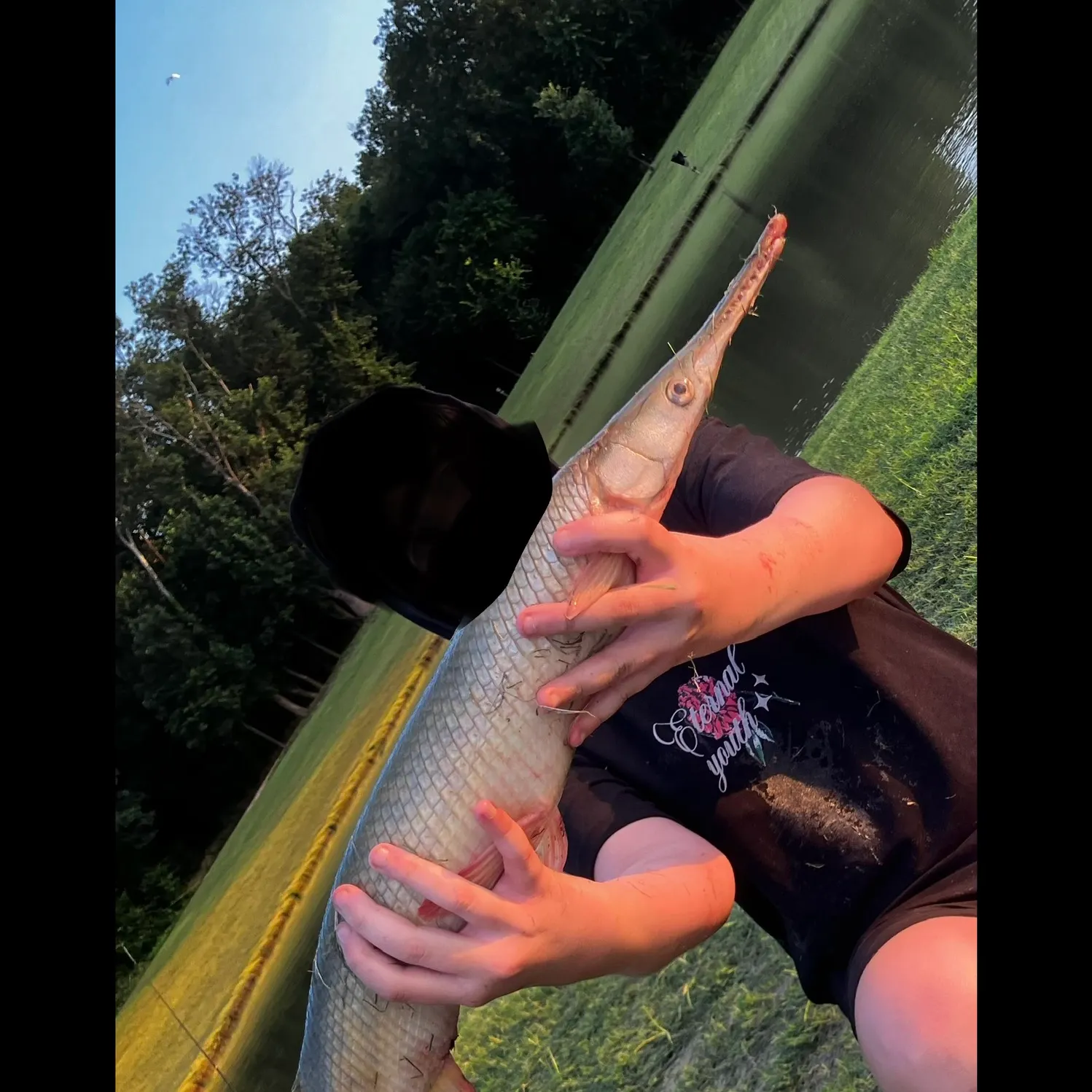 The most recent Longnose gar catches on Fishbrain