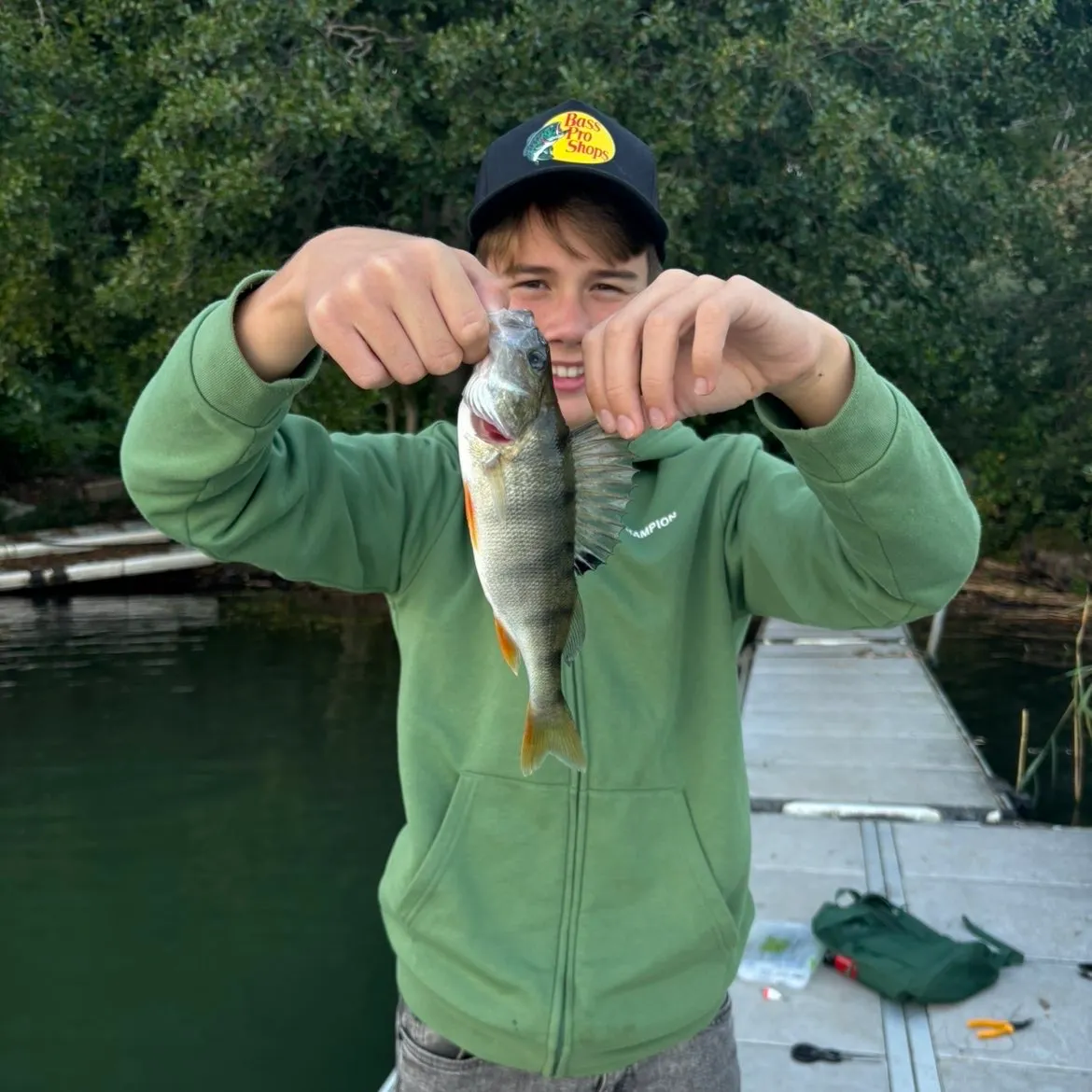 European perch caught on Fishbrain