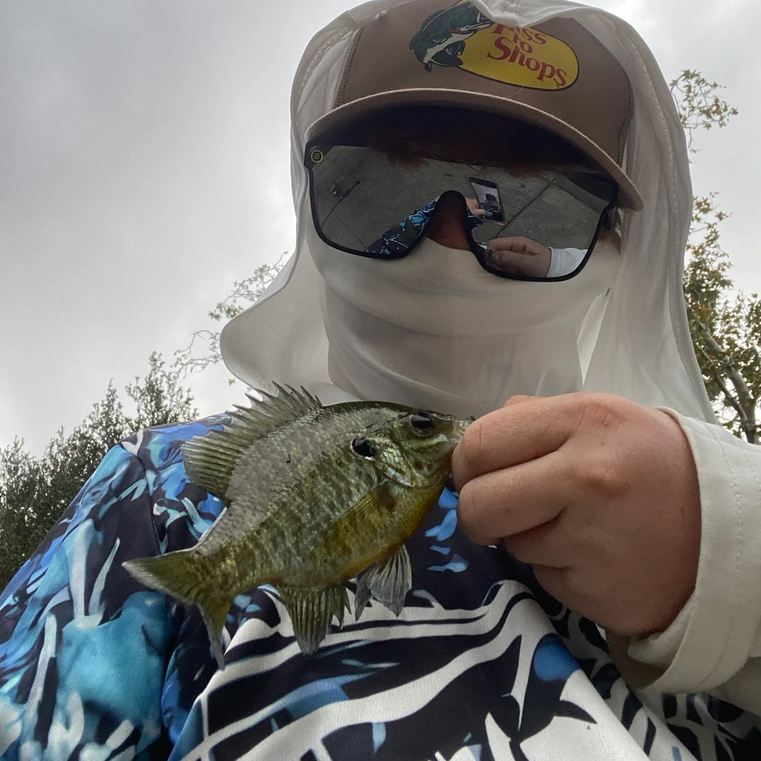 Bluegill caught on Fishbrain