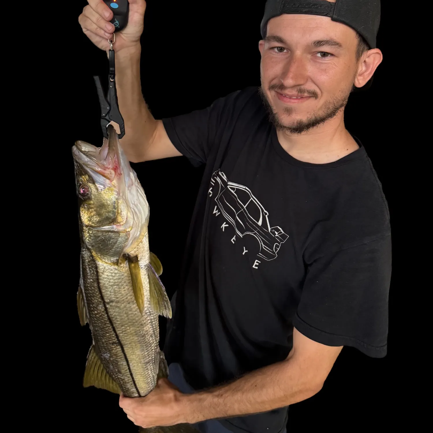Common snook caught on Fishbrain
