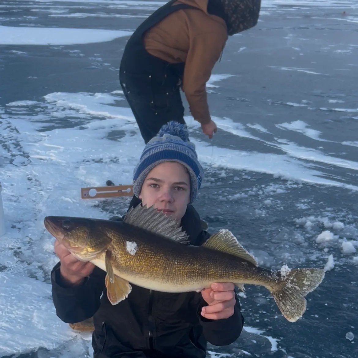 The most recent Walleye catches on Fishbrain