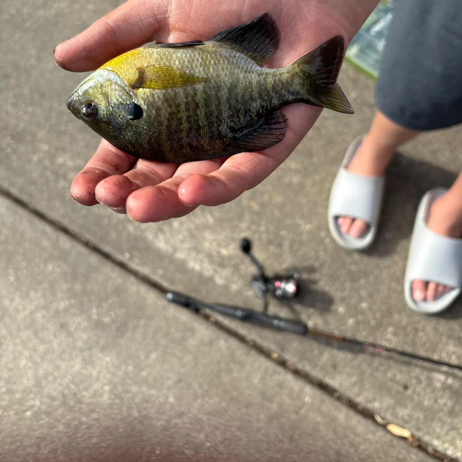 catch