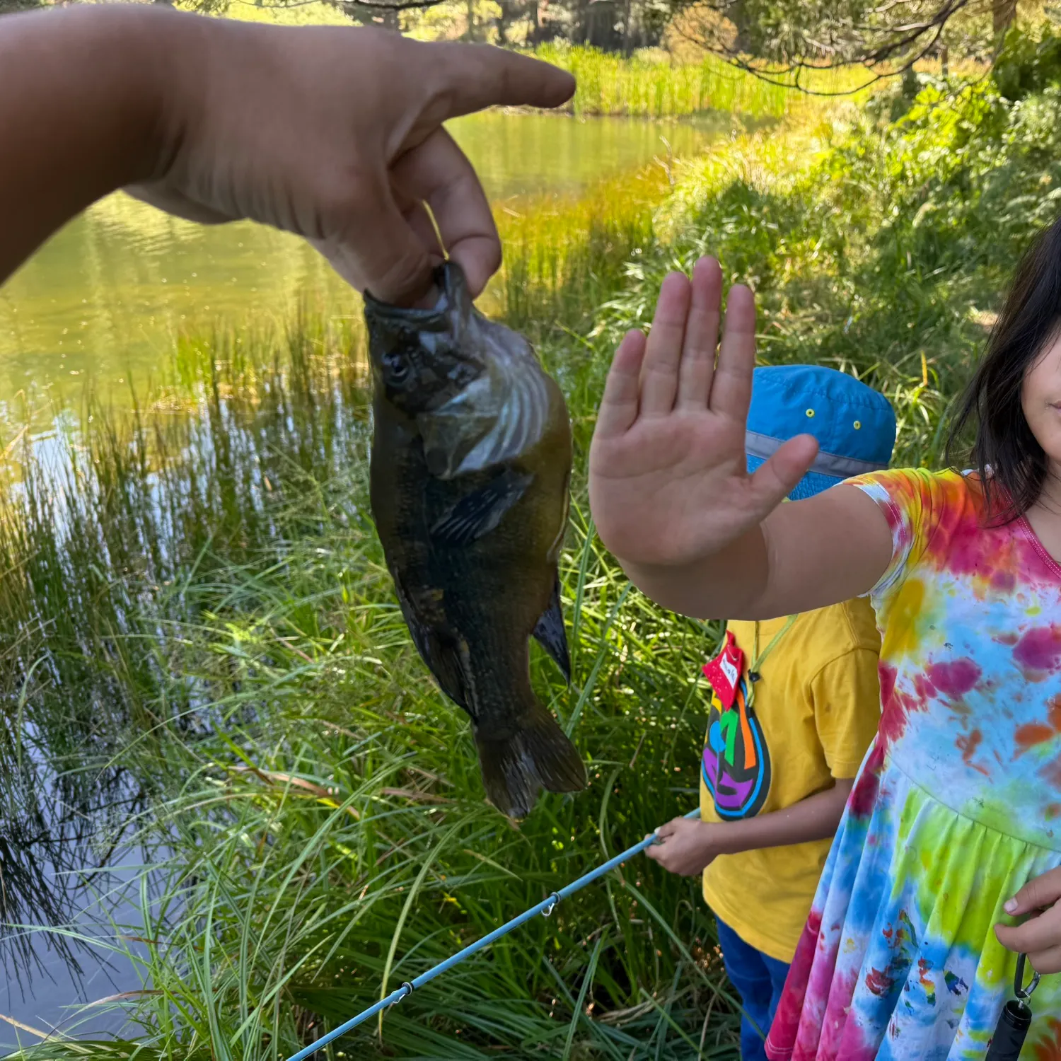 catch